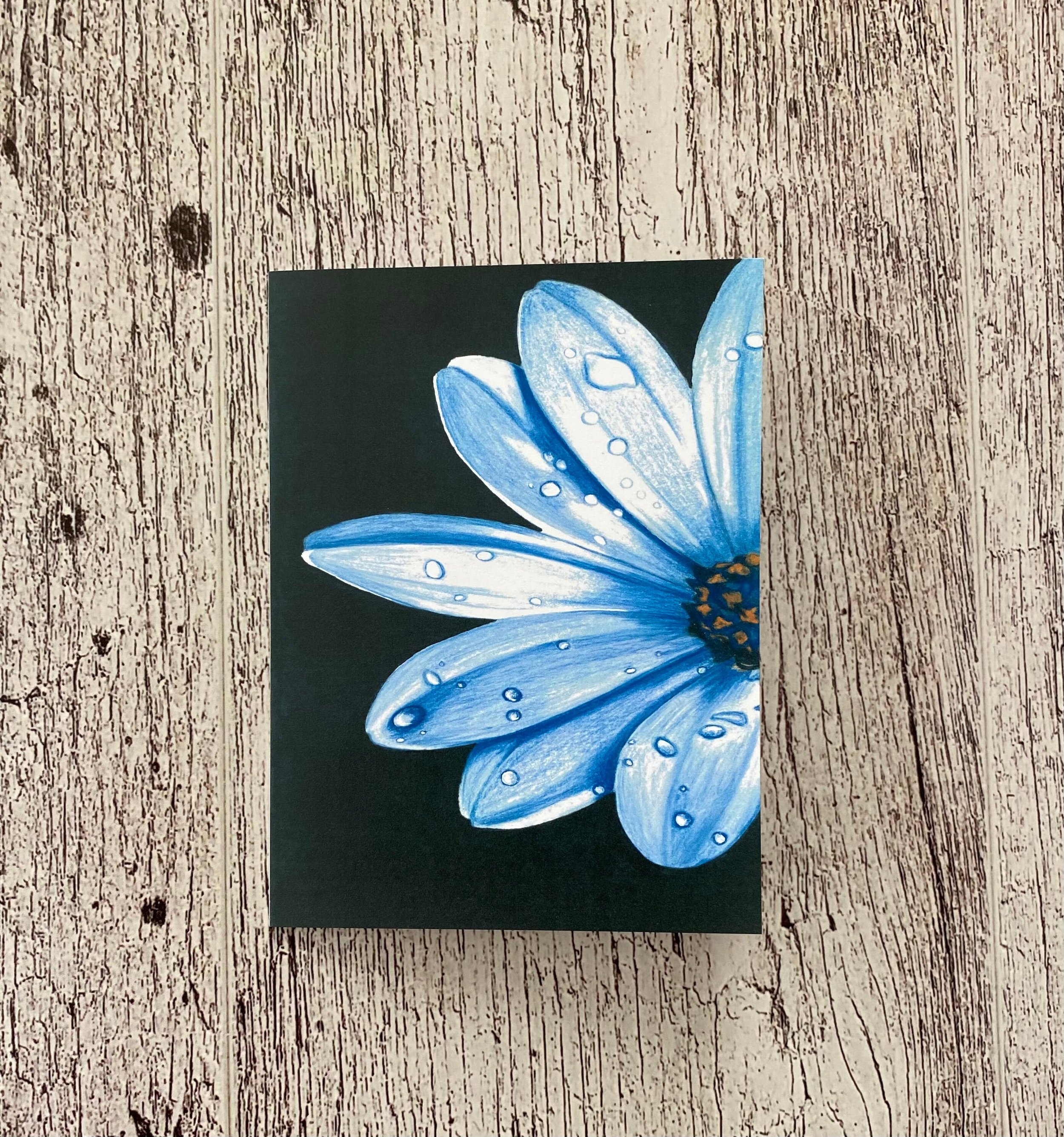https://i.etsystatic.com/23921828/r/il/8fd882/2742586700/il_fullxfull.2742586700_ds1g.jpg