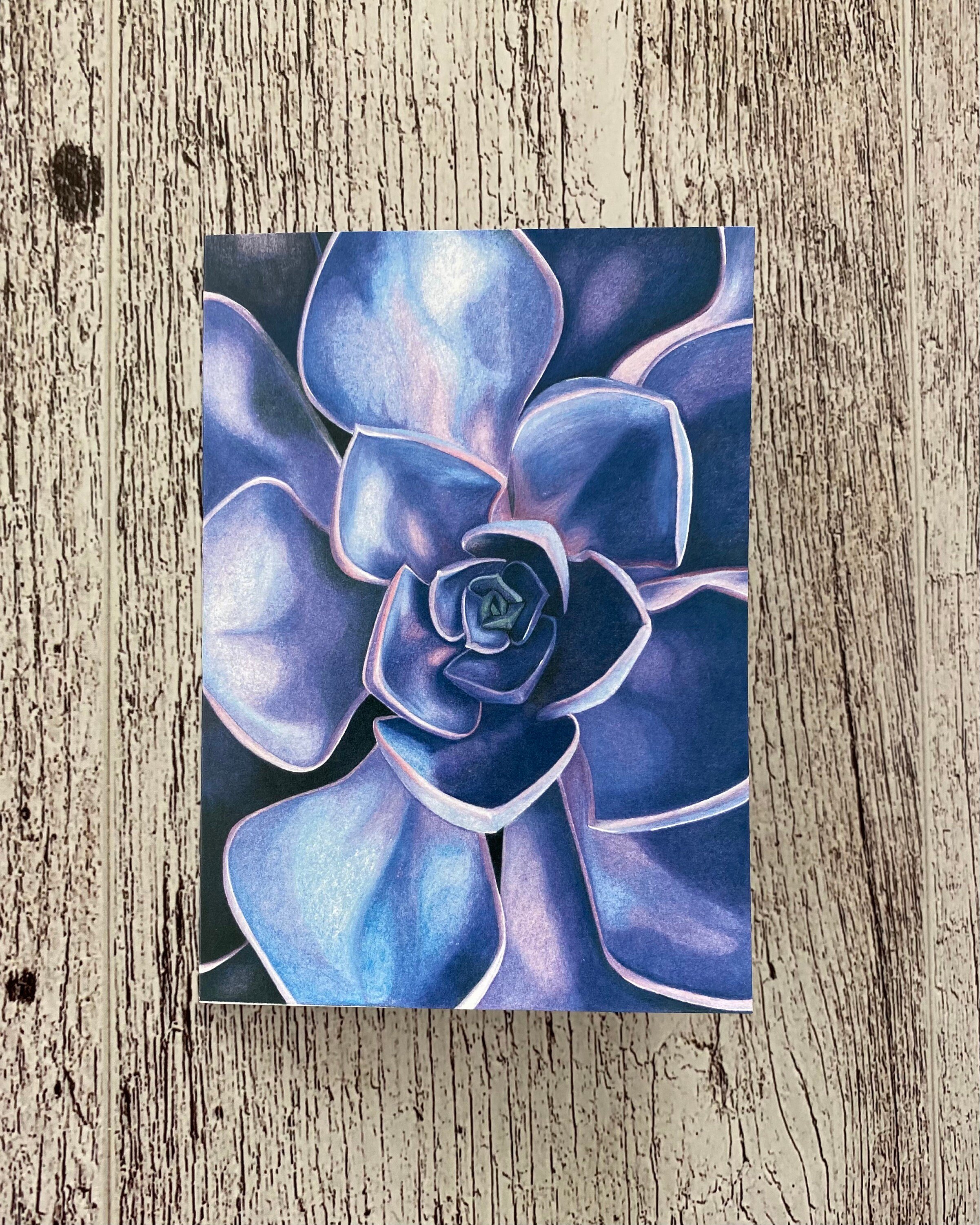 https://i.etsystatic.com/23921828/r/il/2213cd/2790278027/il_fullxfull.2790278027_nq9b.jpg