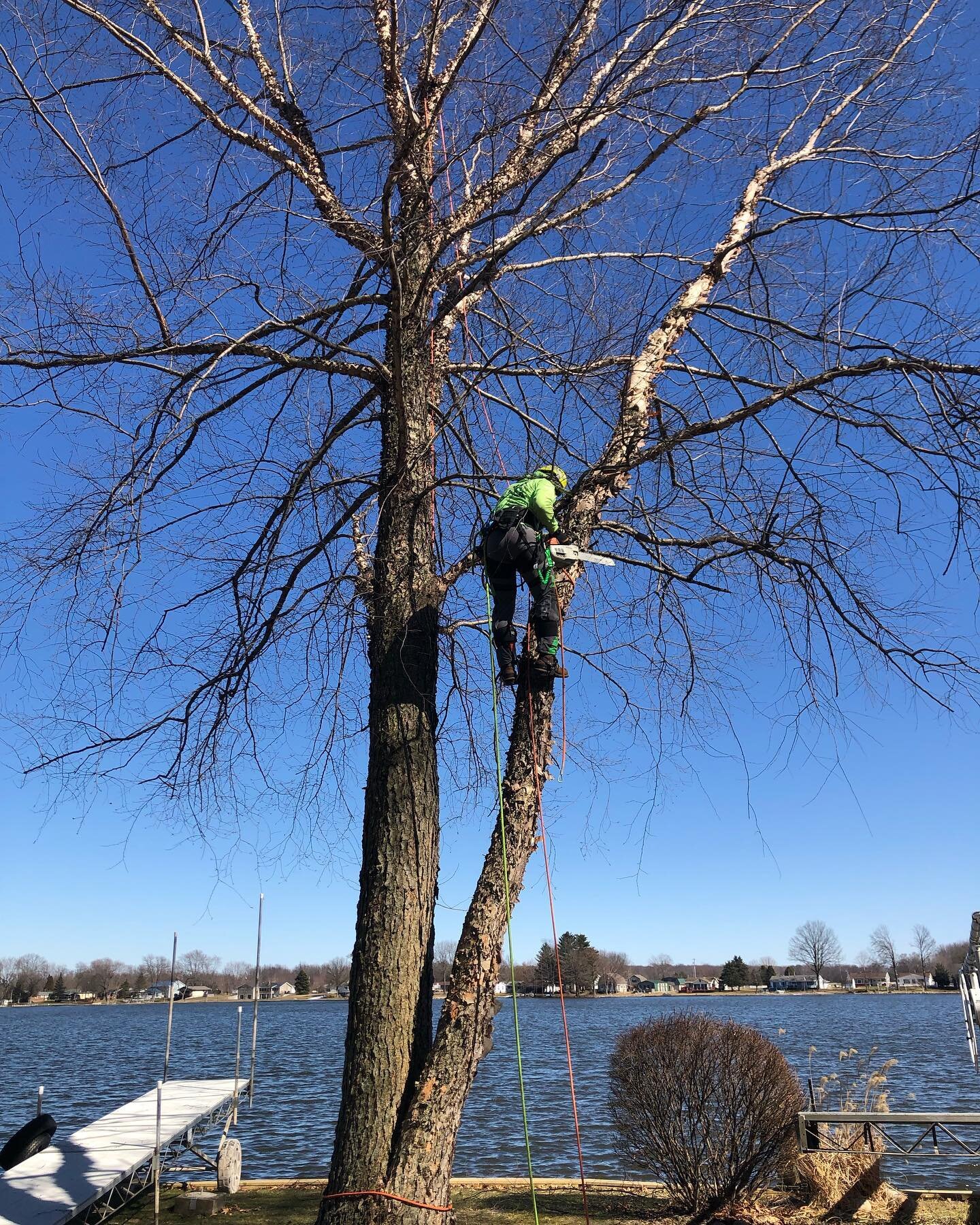 Gorgeous day to be out trimming trees. Here&rsquo;s to maintaining beautiful trees for generations to come! 🌳

#treetrim #treeclimbers #gestprotreeservice 

https://www.gestprotreeservice.com/requestaquote