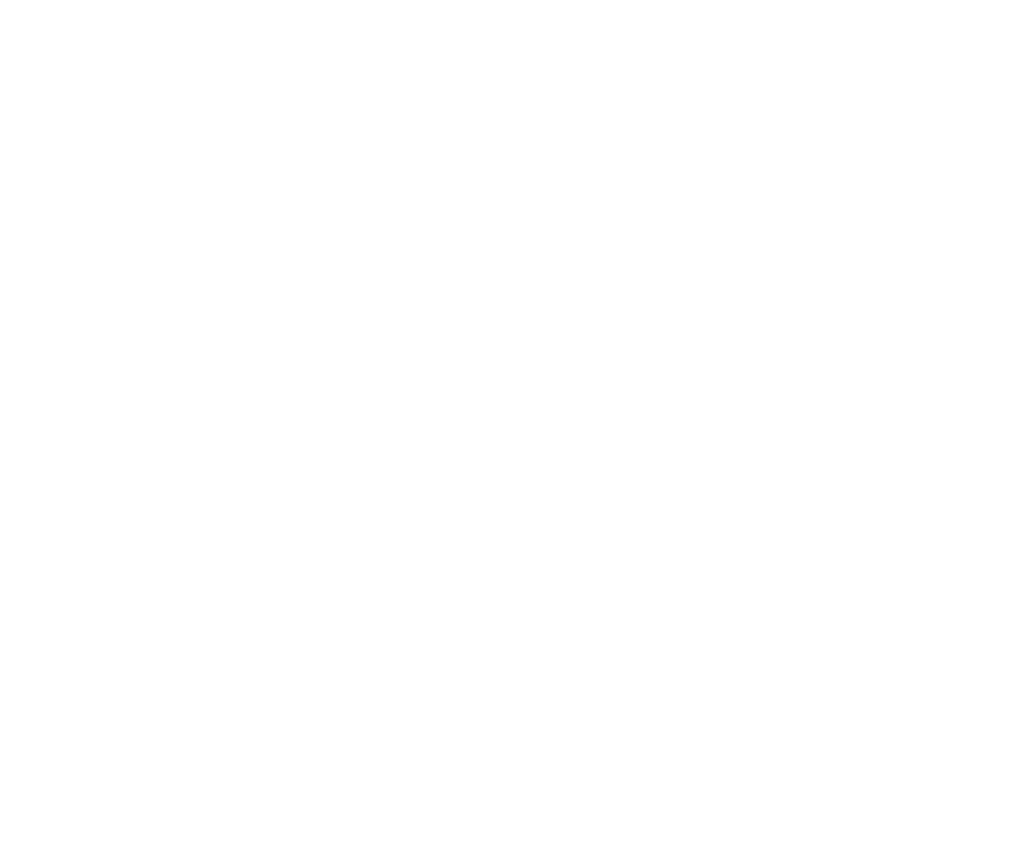 Austin Newton