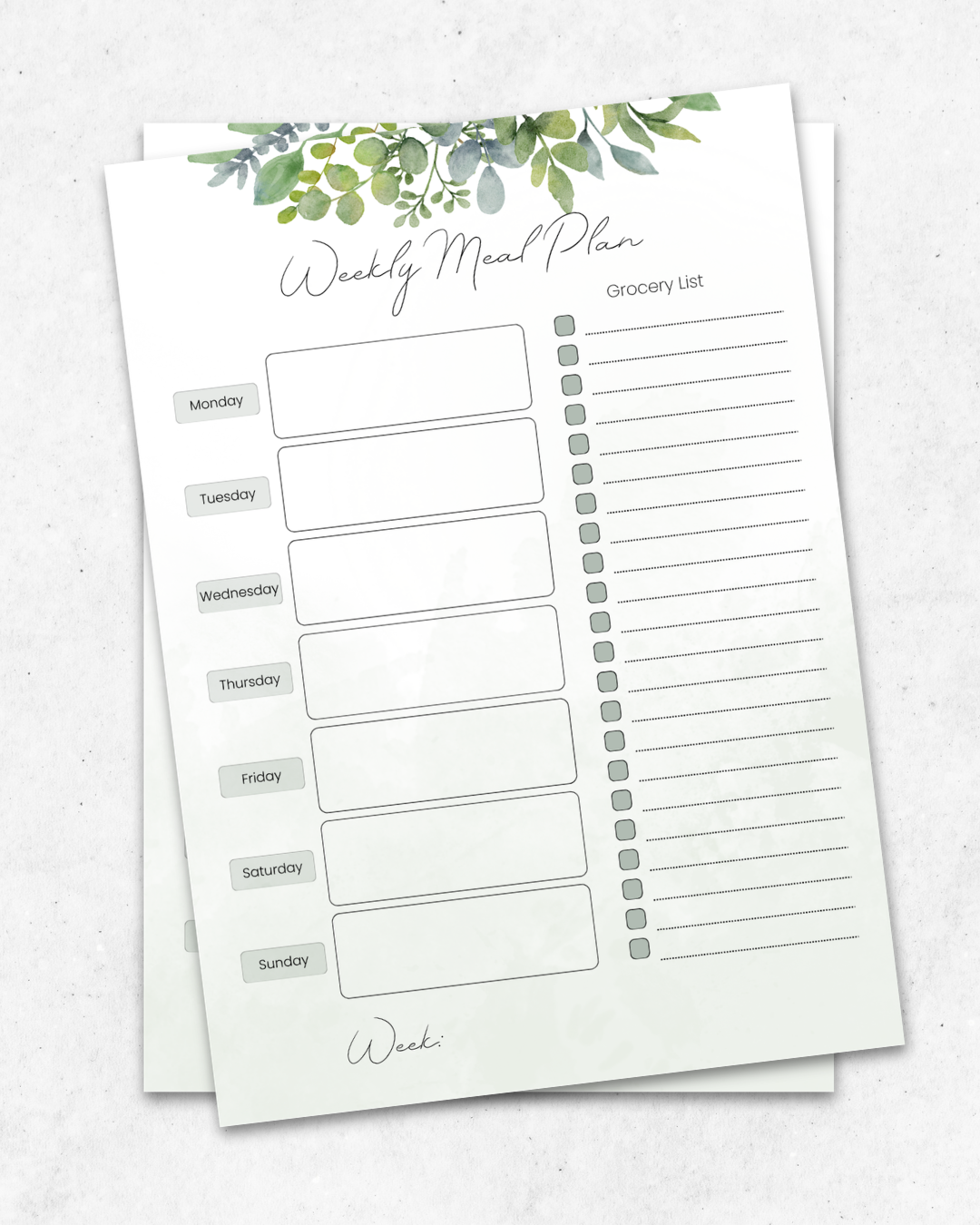 Leaf Meal Plan Marketing Photos.png