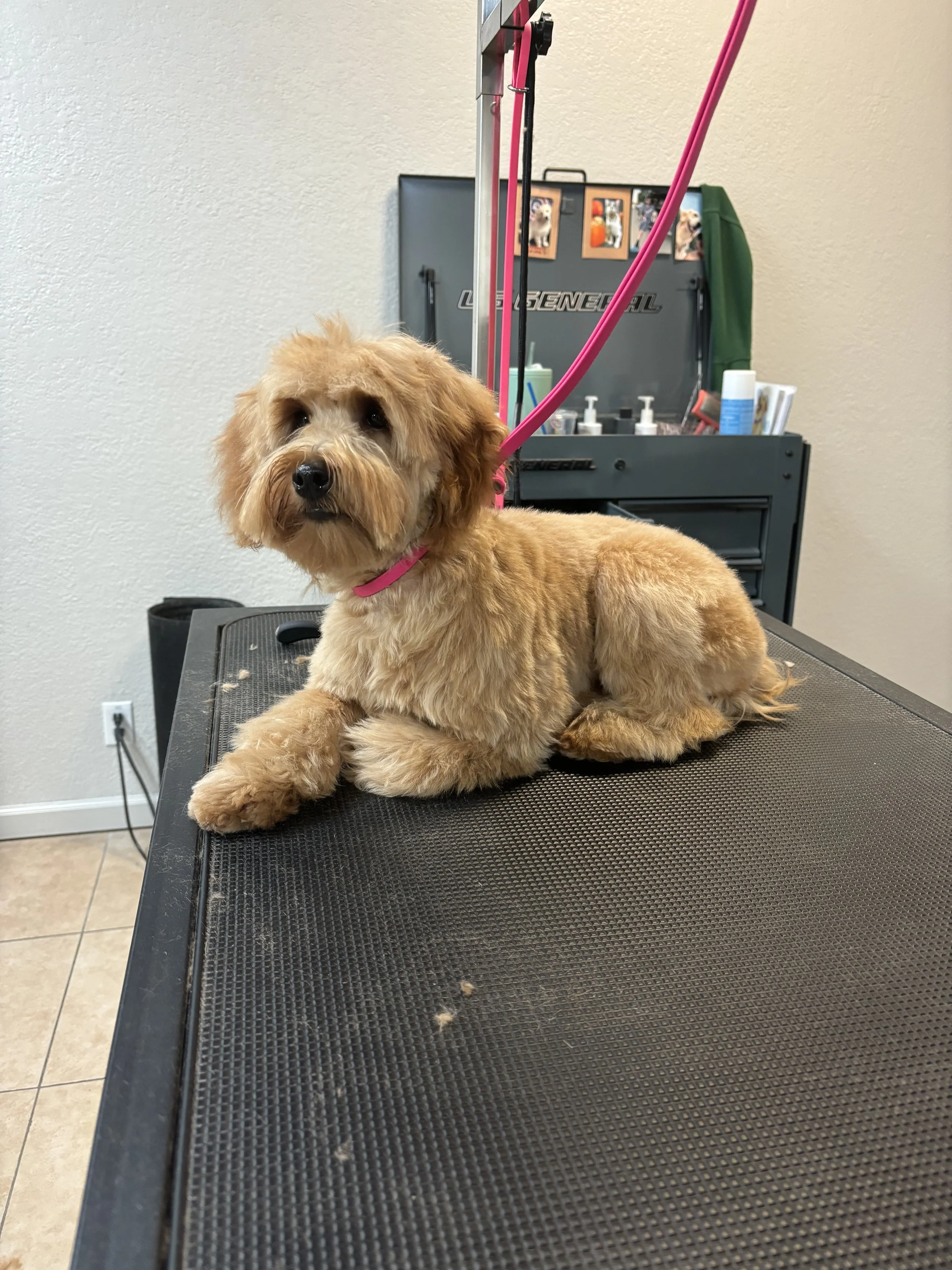 IMG_0890.jpeg