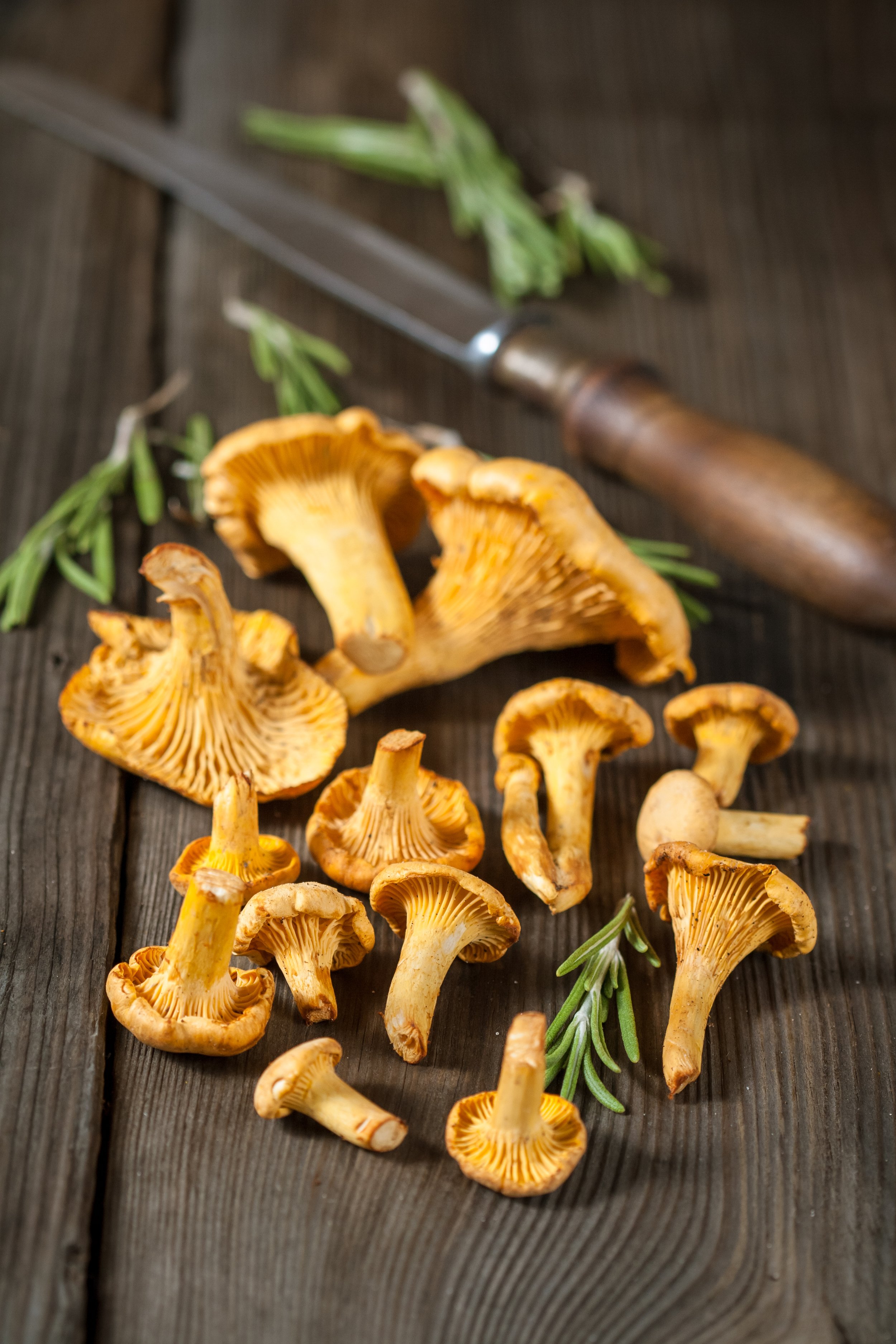vecteezy_fresh-chanterelle-mushrooms-on-a-wooden-table-with-knife-close-up_1322308.jpg