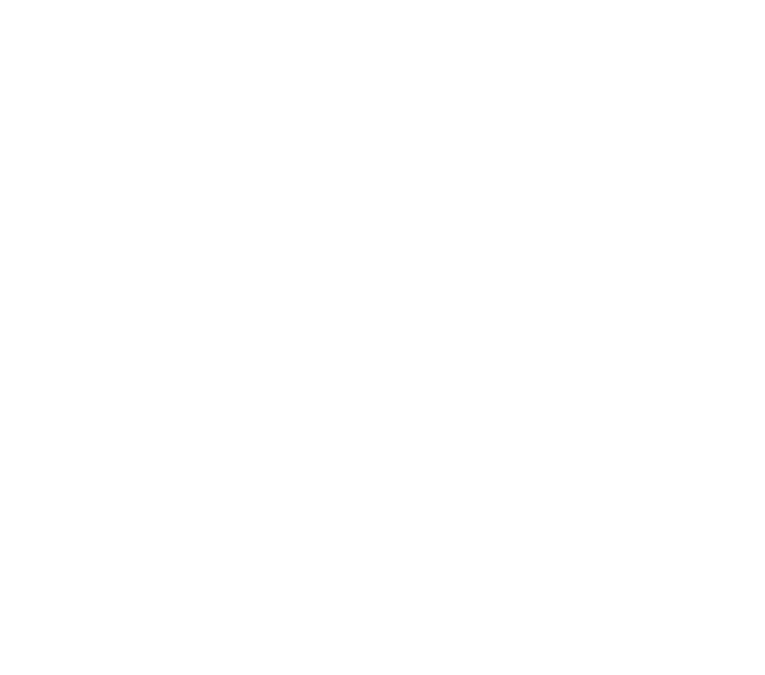 Stylized black and white globe icon with horizontal stripes.