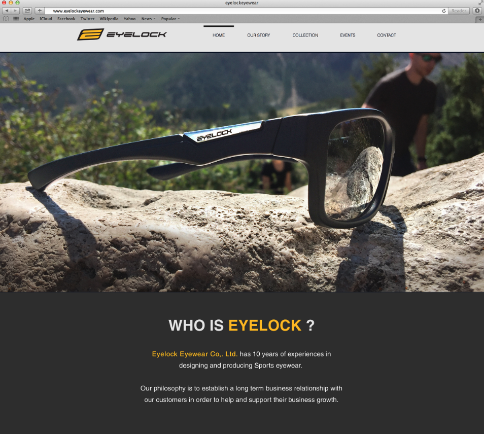 Website + Banner Design