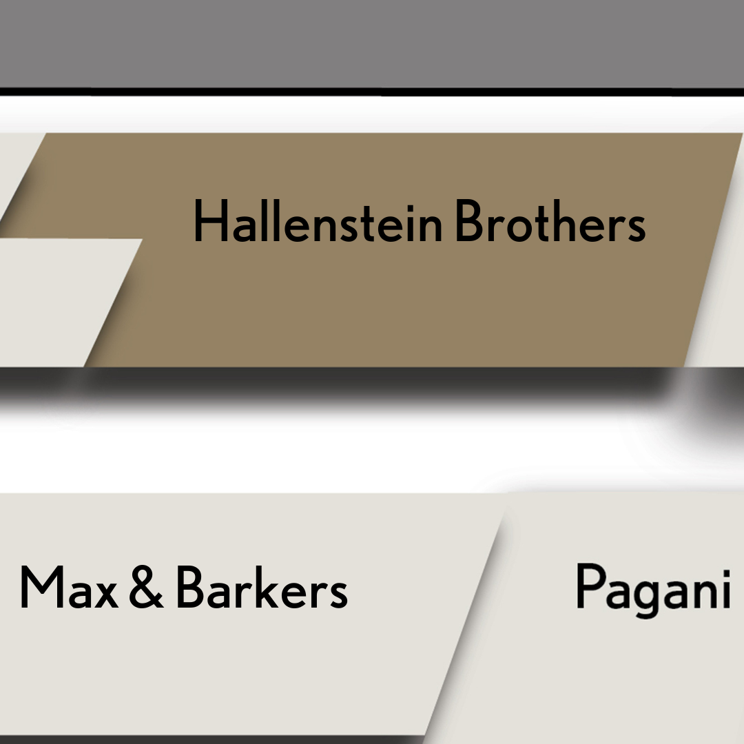 hallensteins ties