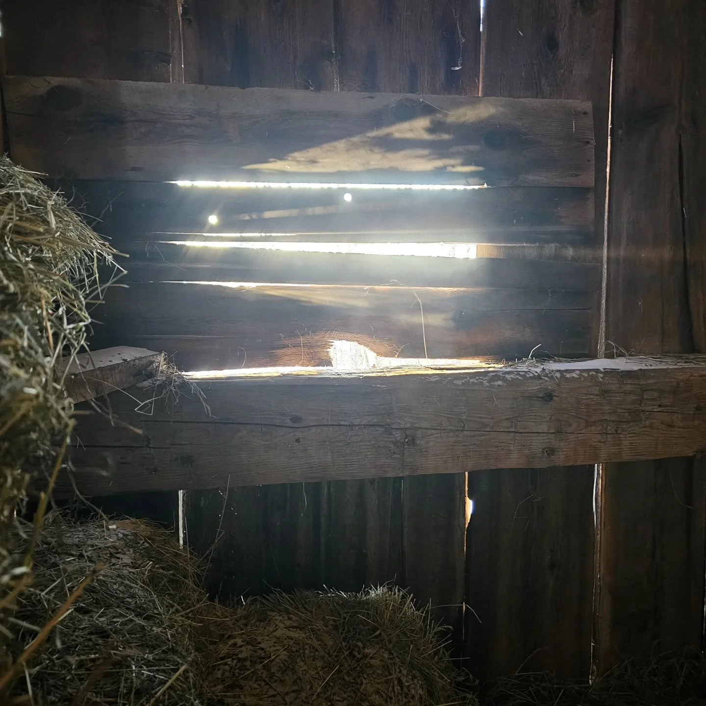 There&rsquo;s a window in the back corner of the barn that was, I assume, sawed out one afternoon long ago by someone desperate to feel the gauzy February sunshine pour across their frostbitten face and then tacked over later that summer after a side