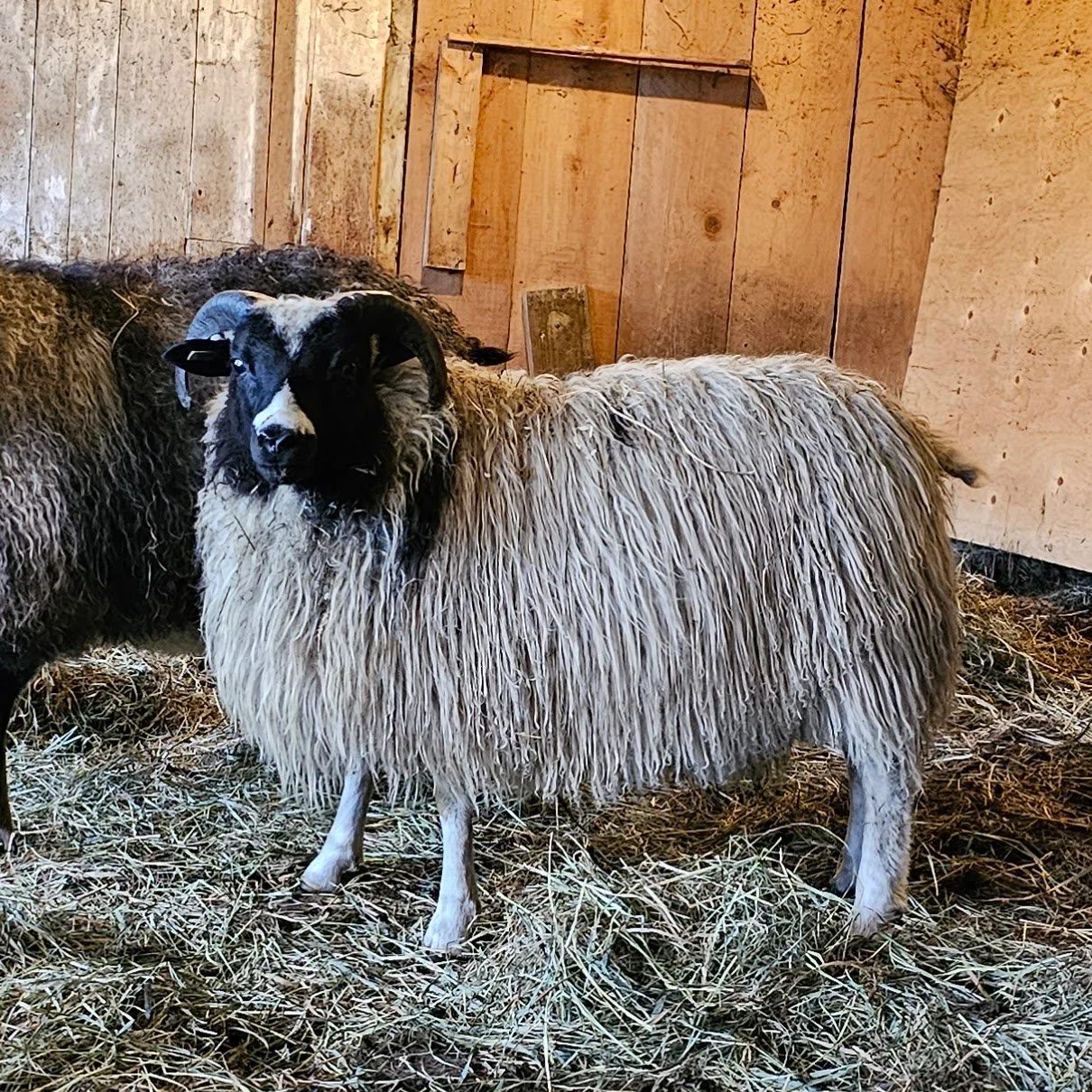 General 1 — Greywether Farm