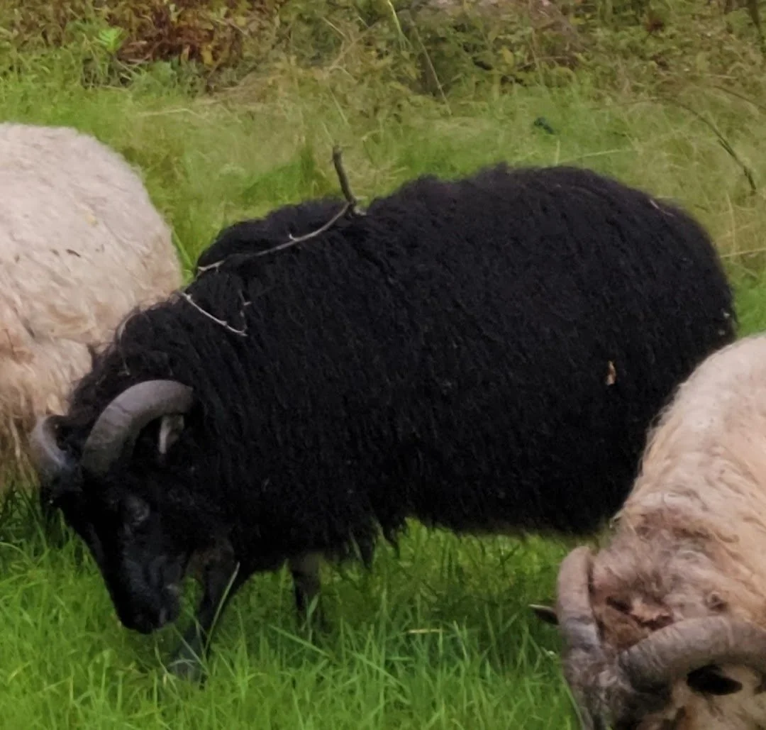 General 1 — Greywether Farm