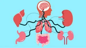 Nervous System Dysregulation: Symptoms, Causes, and How Therapy Helps