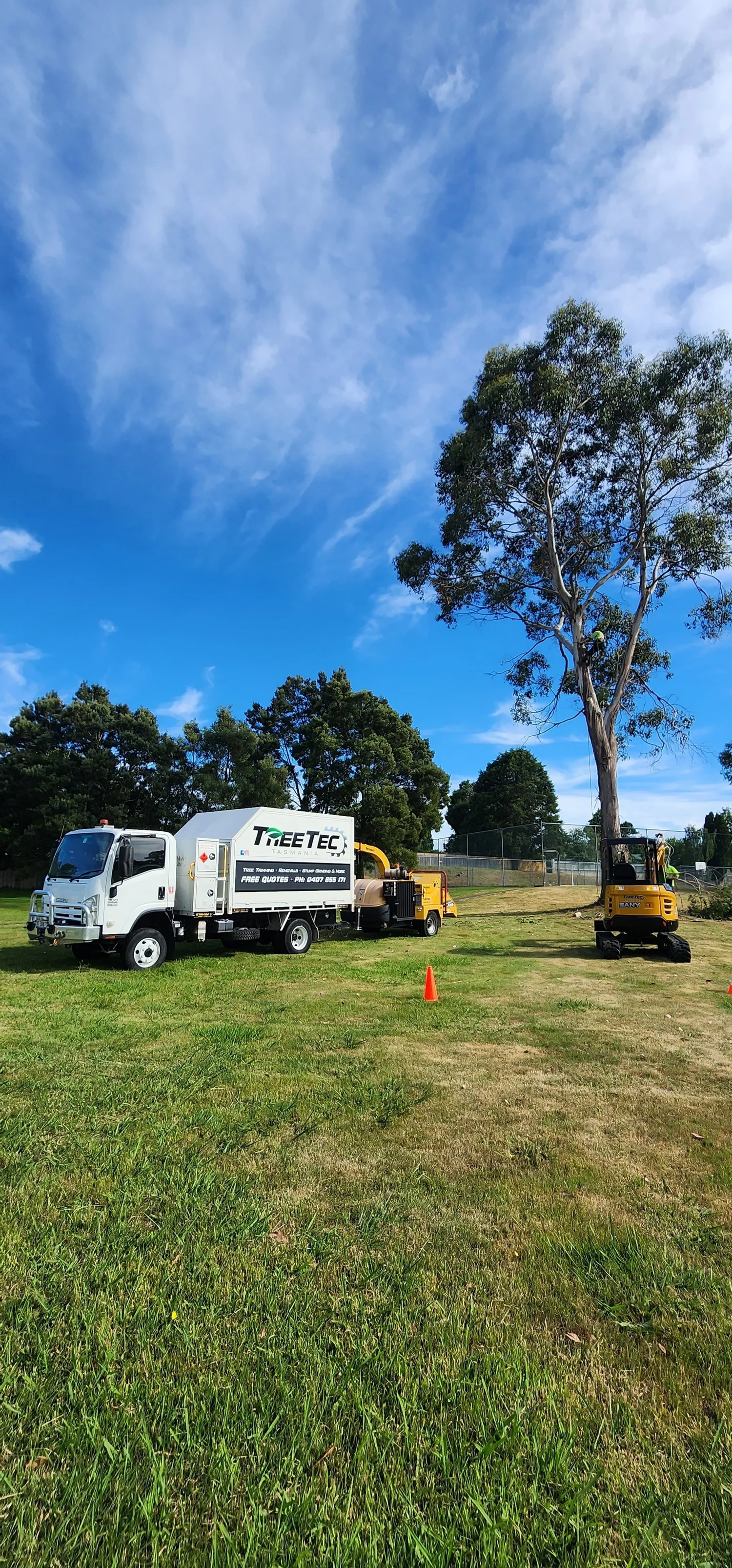 Mulching — Tree Removal Tasmania | Arborist Tasmania | Treetec Tasmania
