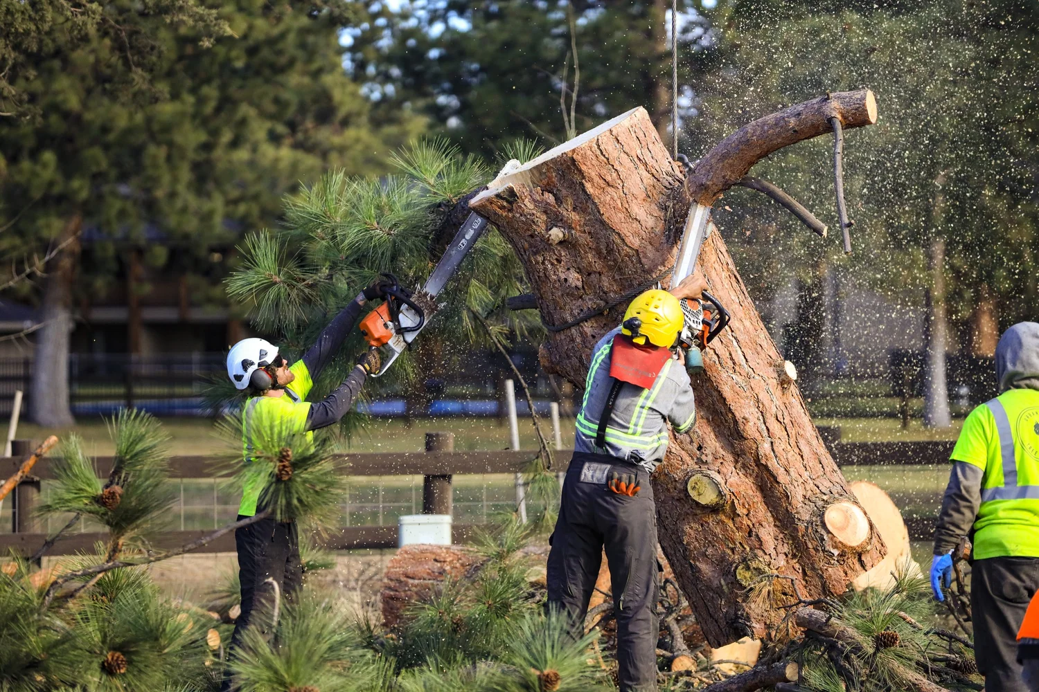 Arborist Team — Urban Forest Tree Service in Bend Oregon
