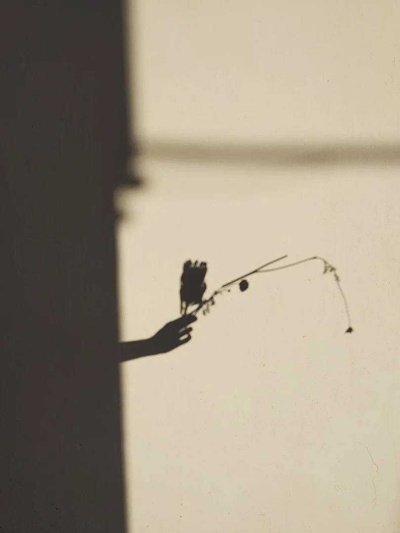 ENTRER DANS LE MONDE DES OMBRES AVEC DES FLEURS - Geste poétique, sculpture, land art