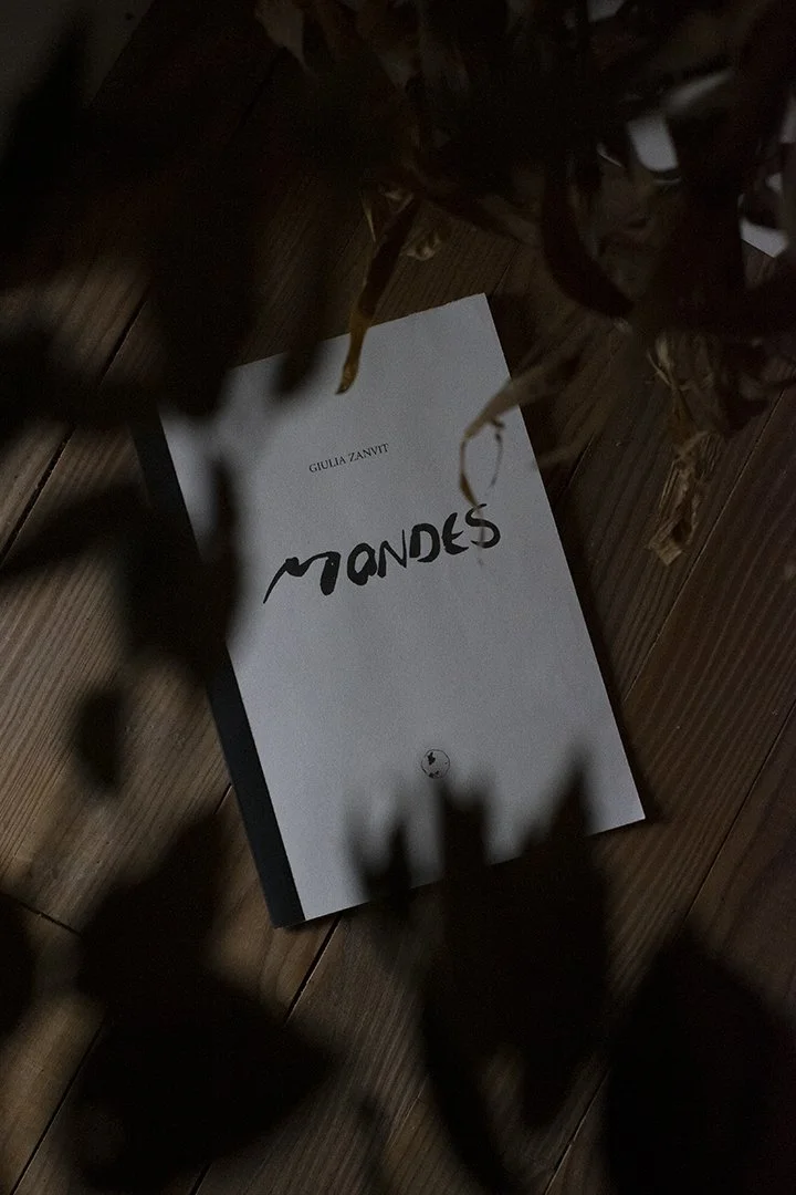 MONDES - Edition, recueil poésie