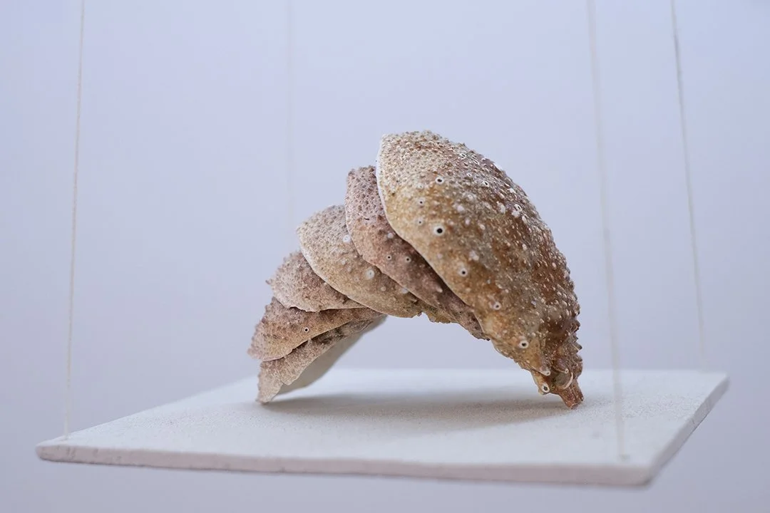 EVOLVERE - Sculpture