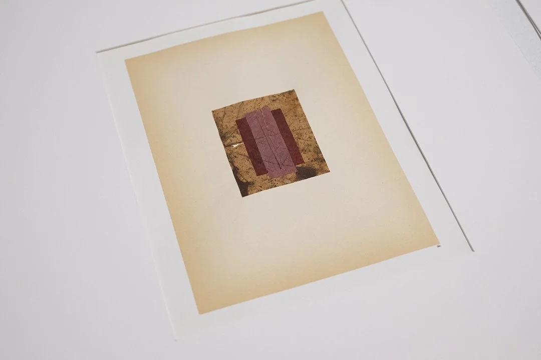 GIULIA ZANVIT GEOMETRIE 1.3.jpg