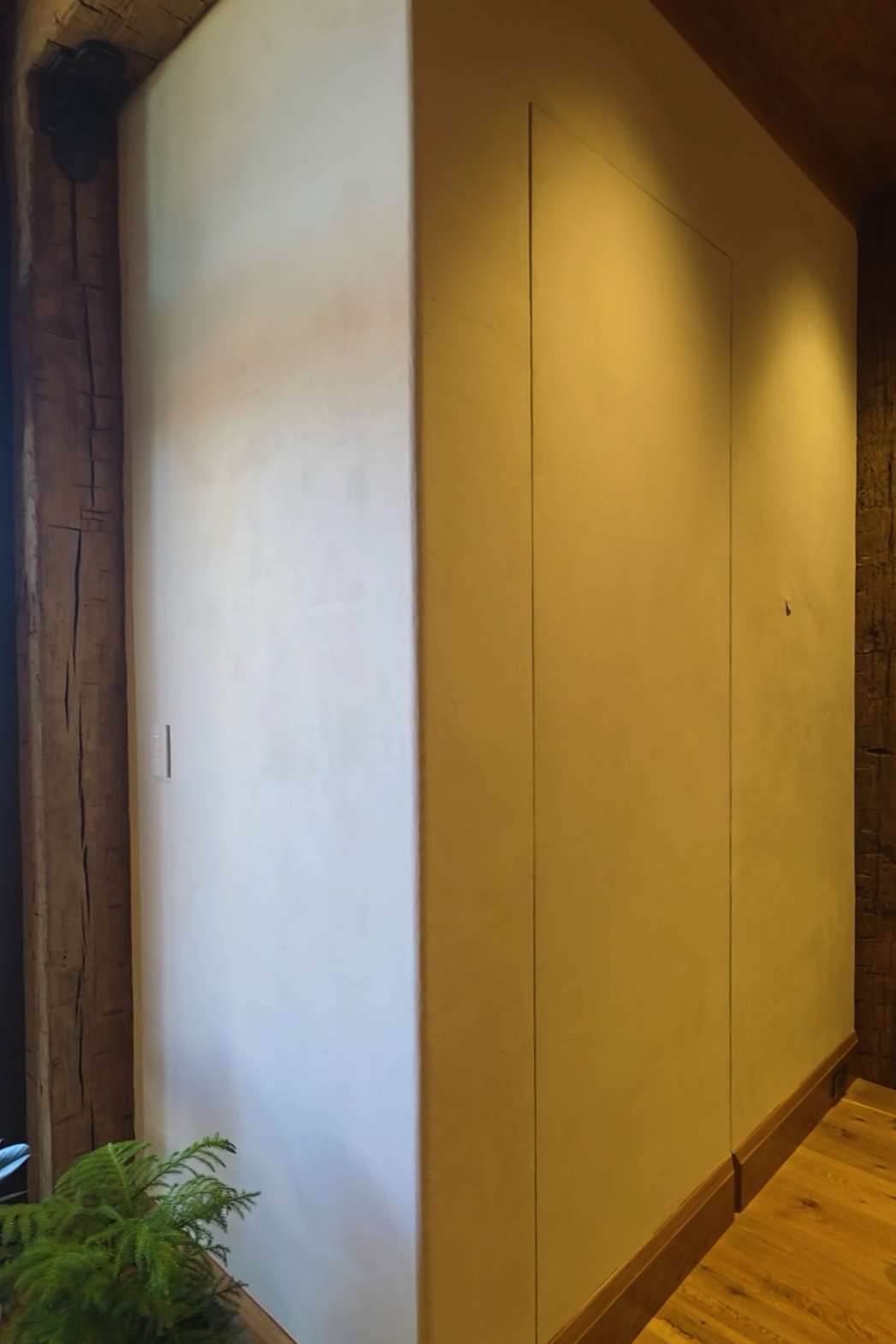 Interior corner of a room with a white wall on the left, a yellow wall in the center, wooden flooring, and part of a wooden wall with a small green plant in the bottom left corner.