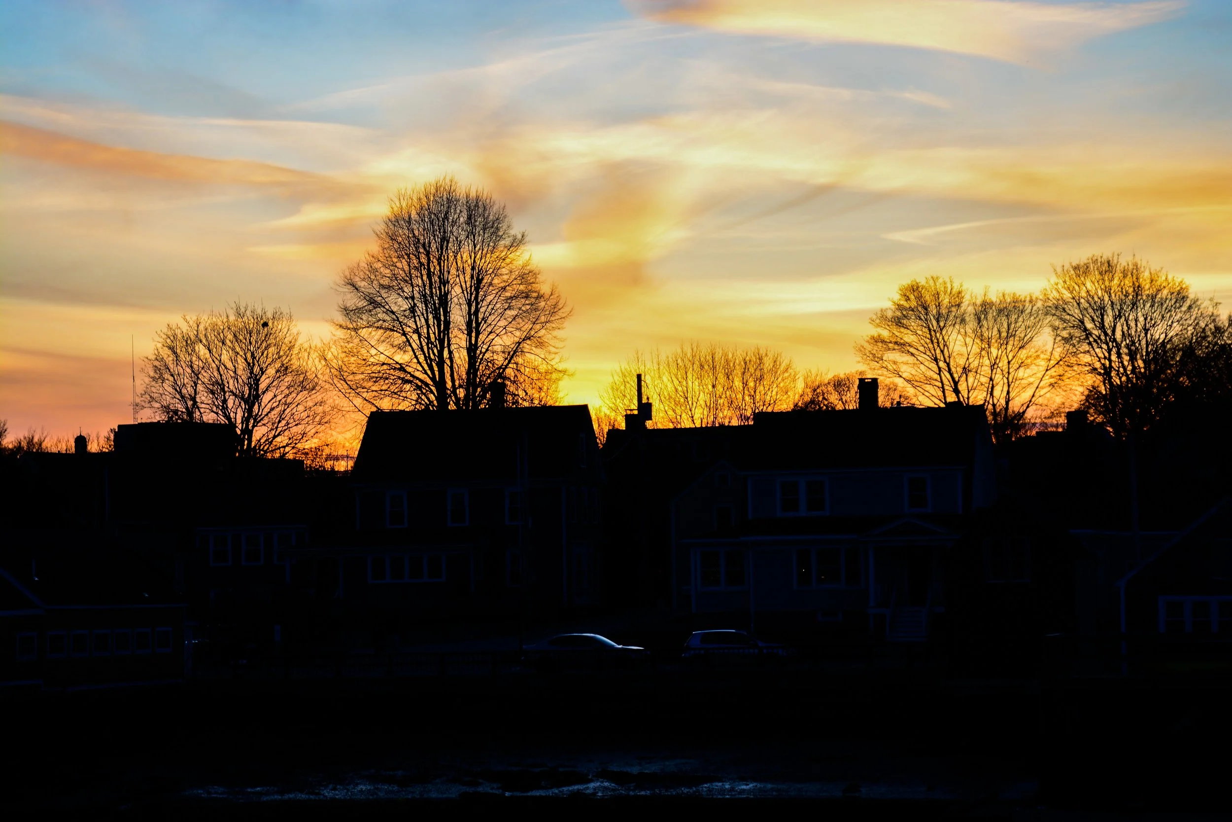 DSC_9236_edited1.jpg