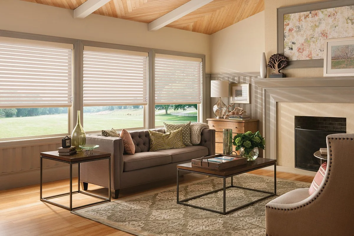 Sheer Shade - Suede Living Room.jpg