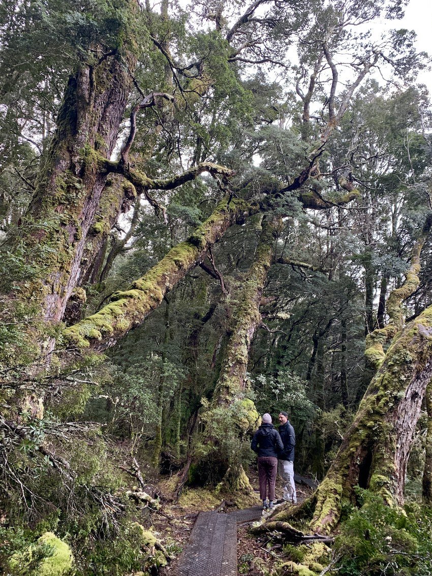 father-daughter-rainforest.jpg