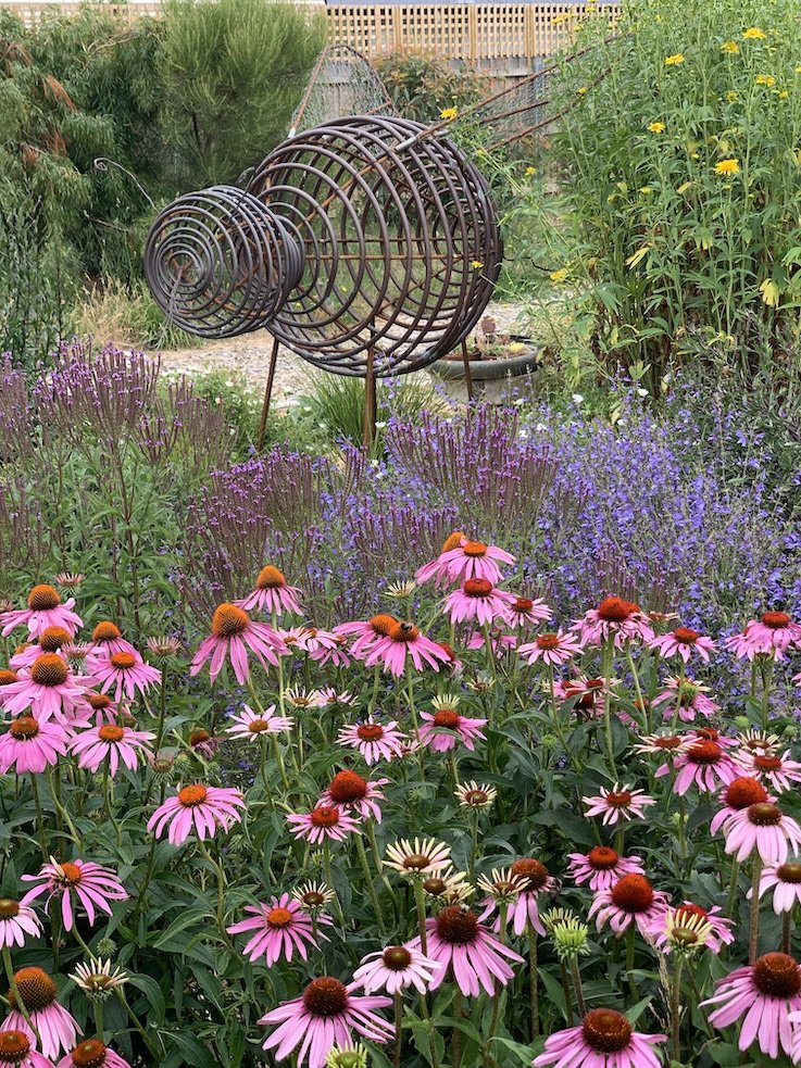 copperbee-garden.jpg