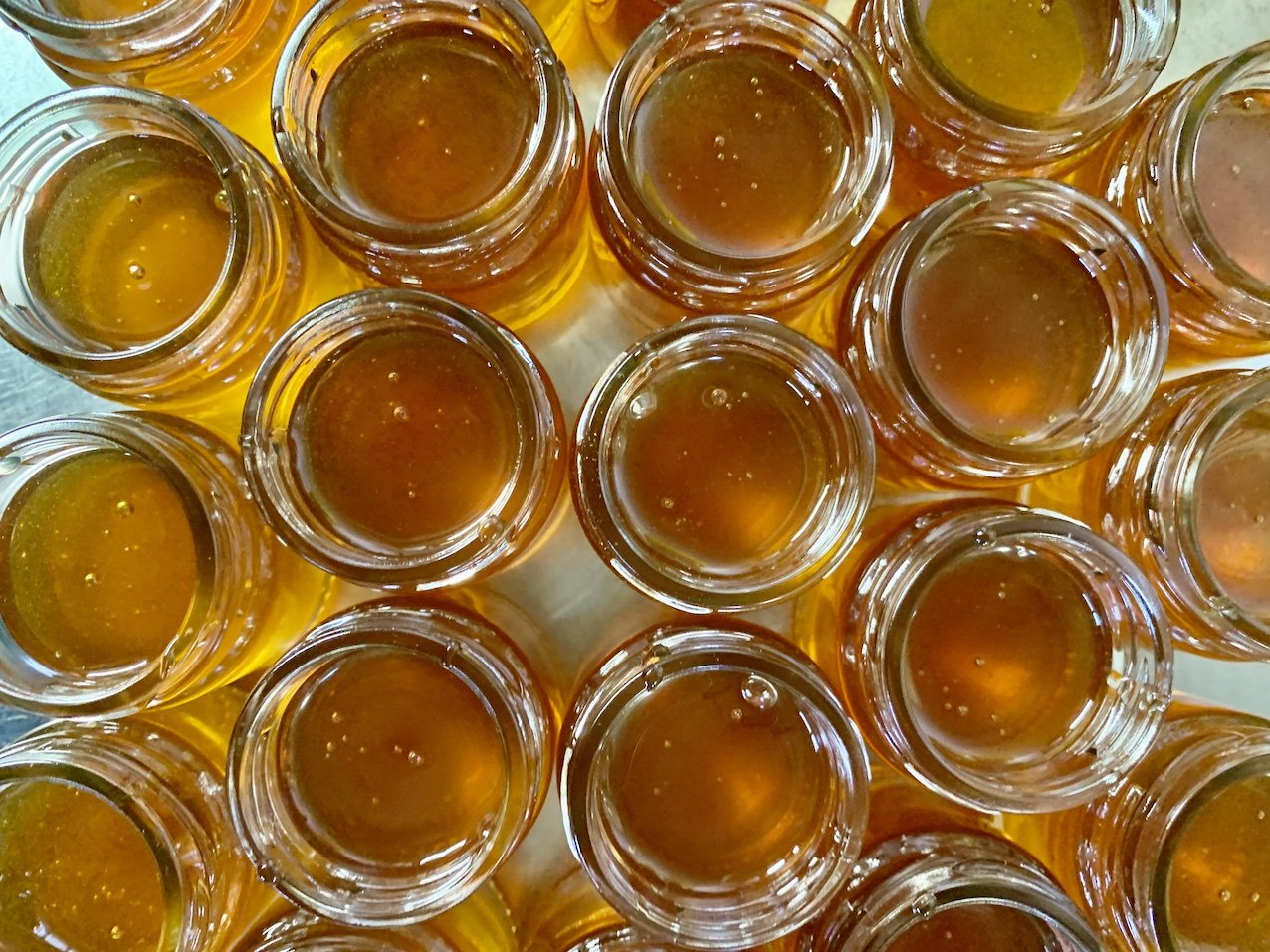 honey-from-above.jpg