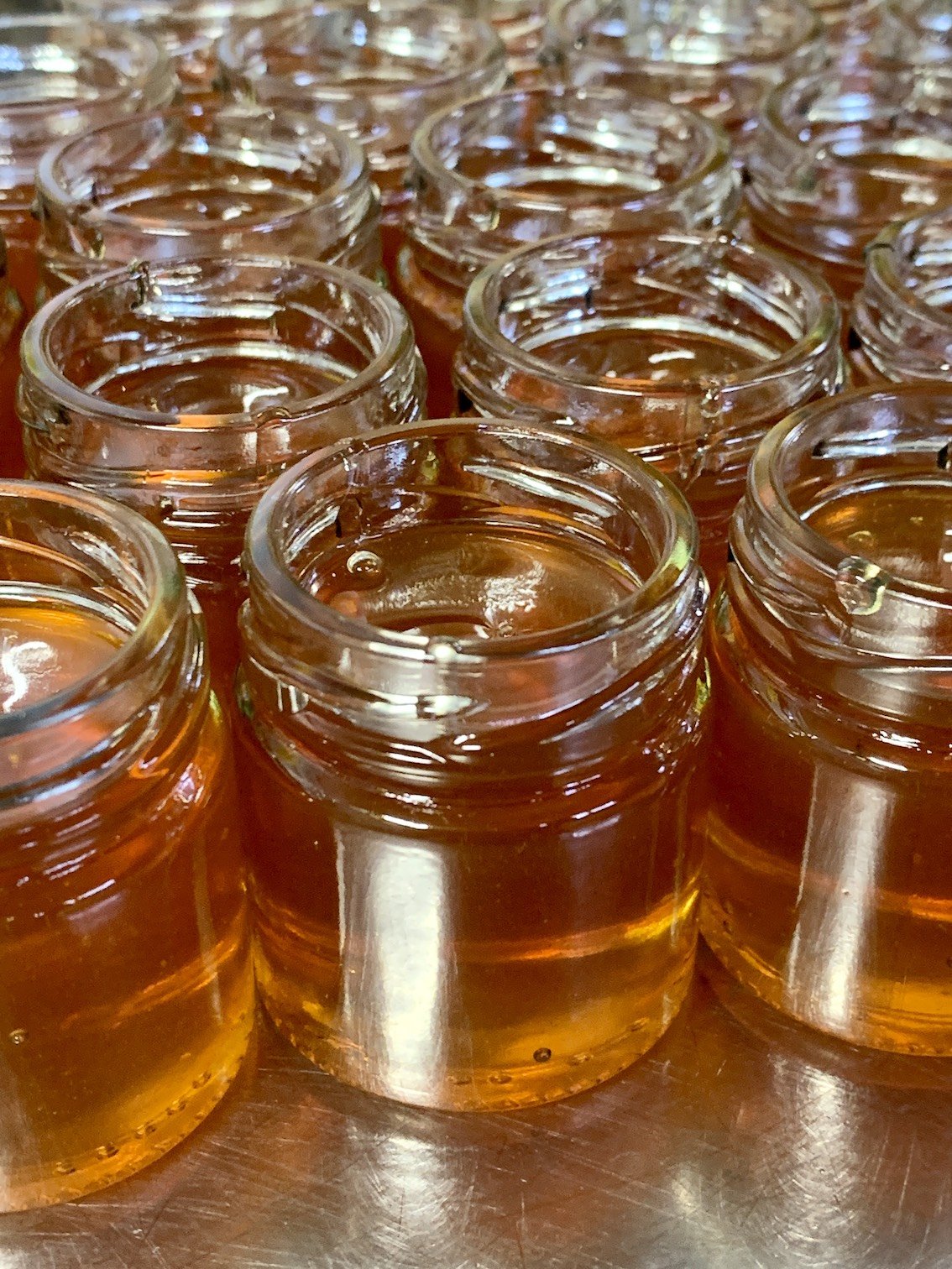 jars-of-honey.jpg