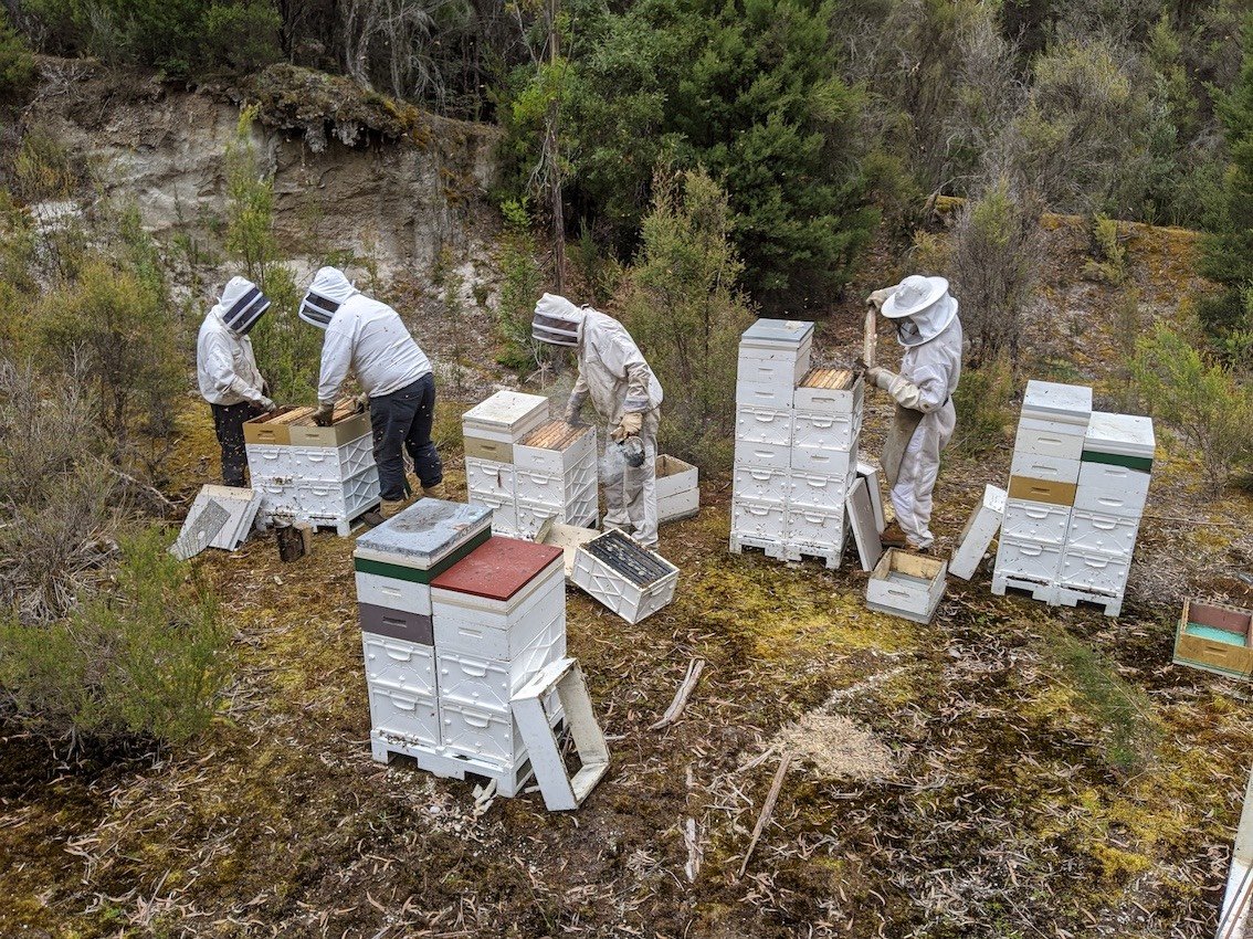 beekeepers-with-hives-west-coast-1.jpg