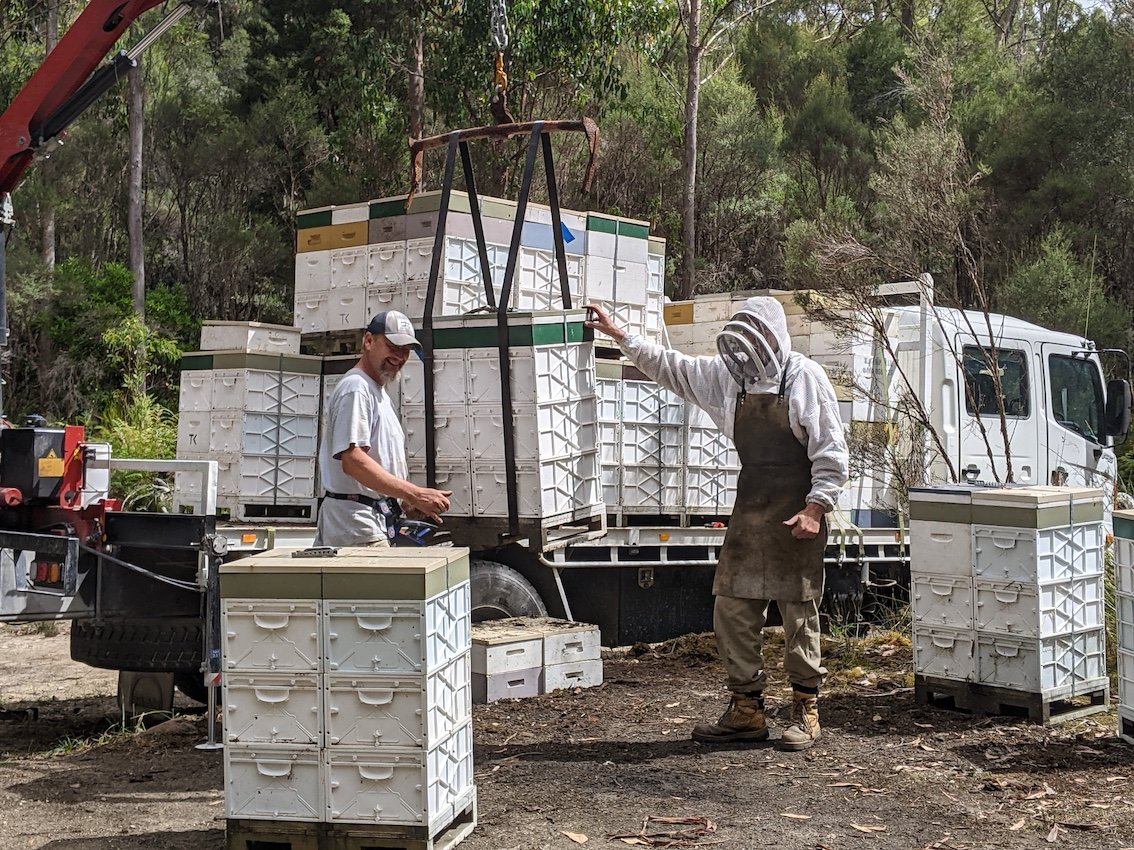 beekeeping-full-truck.jpg