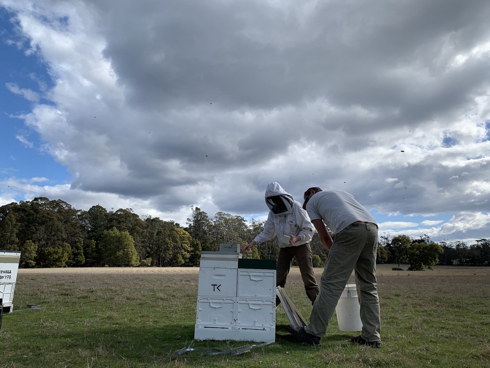 father-daughter-beekeeping2.jpg