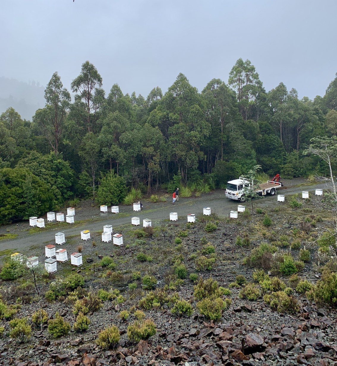 westcoast-beekeeping4.jpg