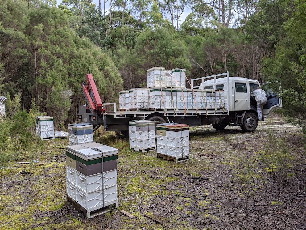westcoast-beekeeping10.jpg