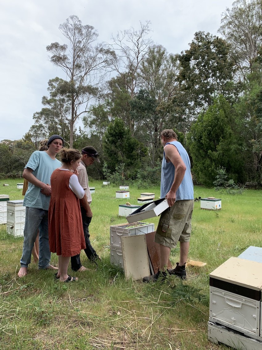 demonstration-beekeeping.jpg