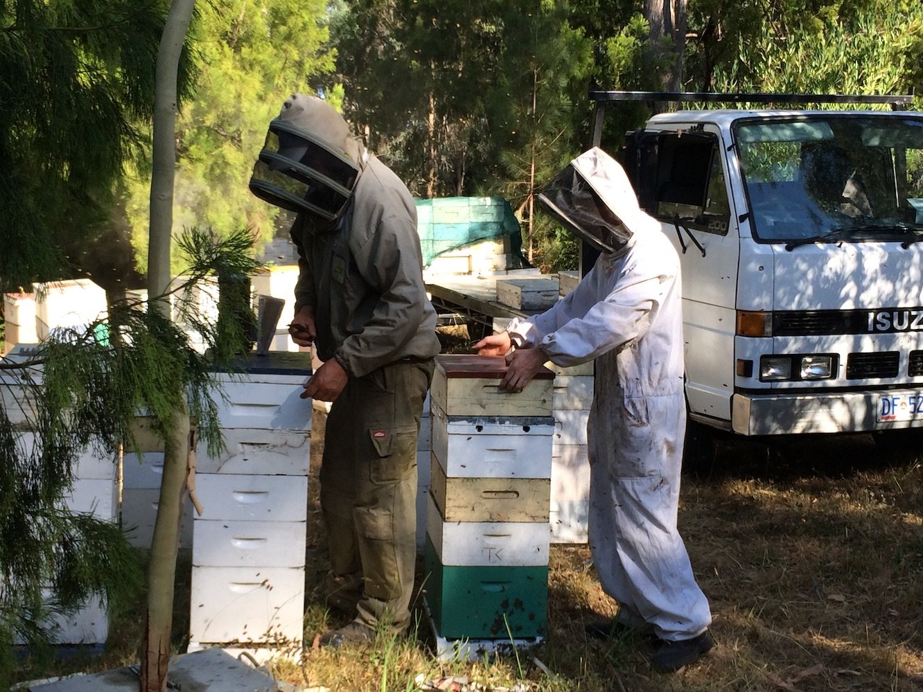 french-beekeeper1.jpg