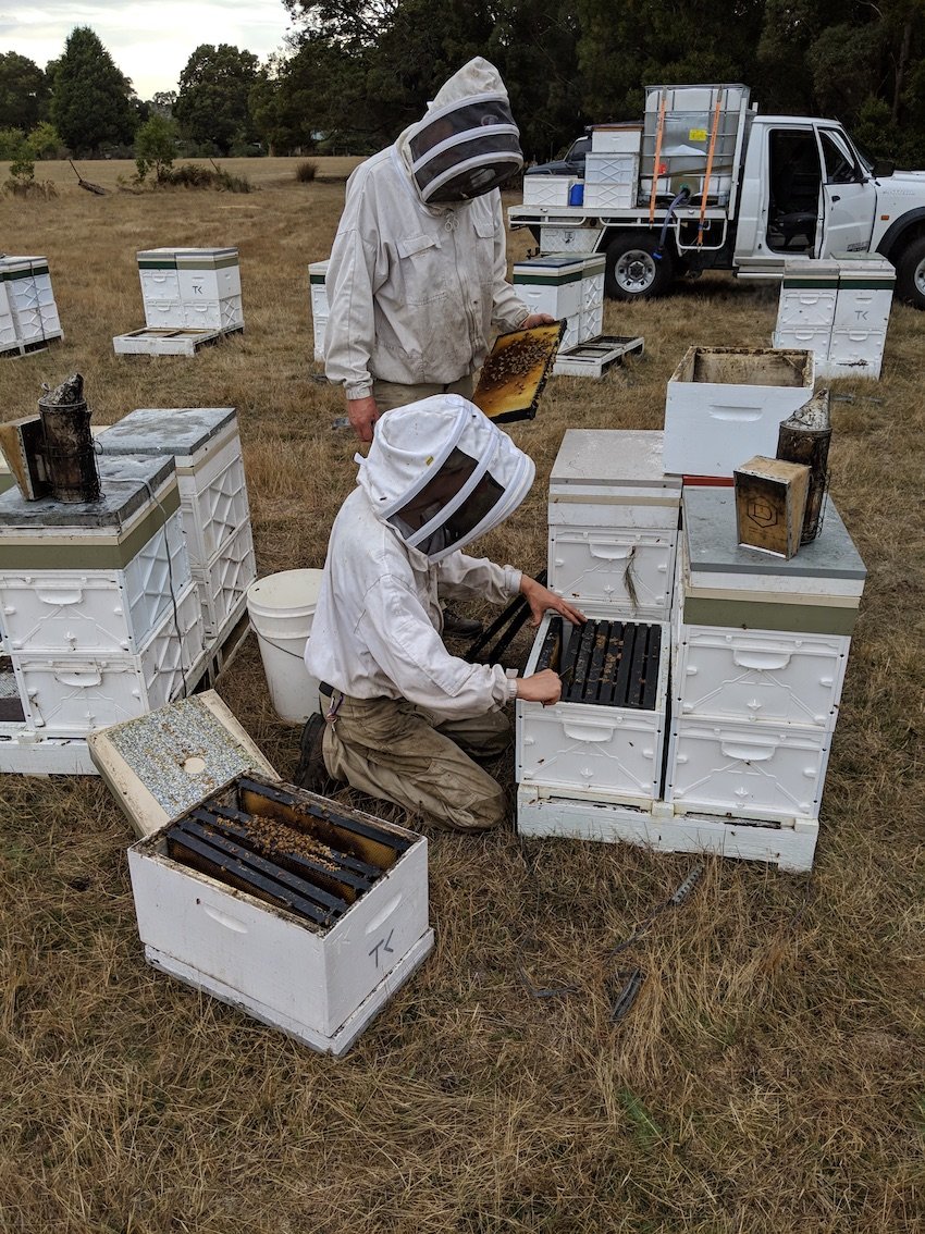 german-beekeeper.jpg