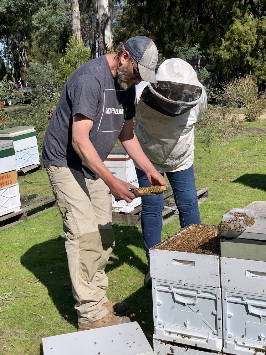 harvest-market-beekeeping.jpg