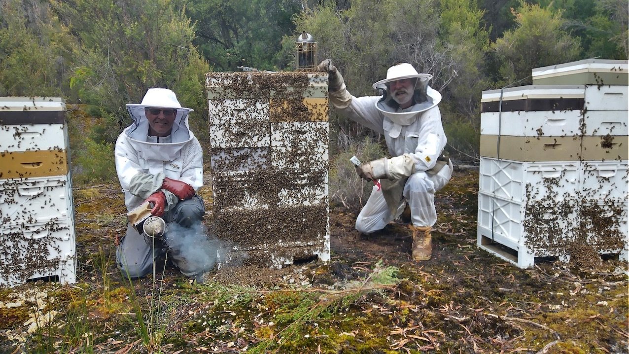 two-volunteer-beekeepers.jpg