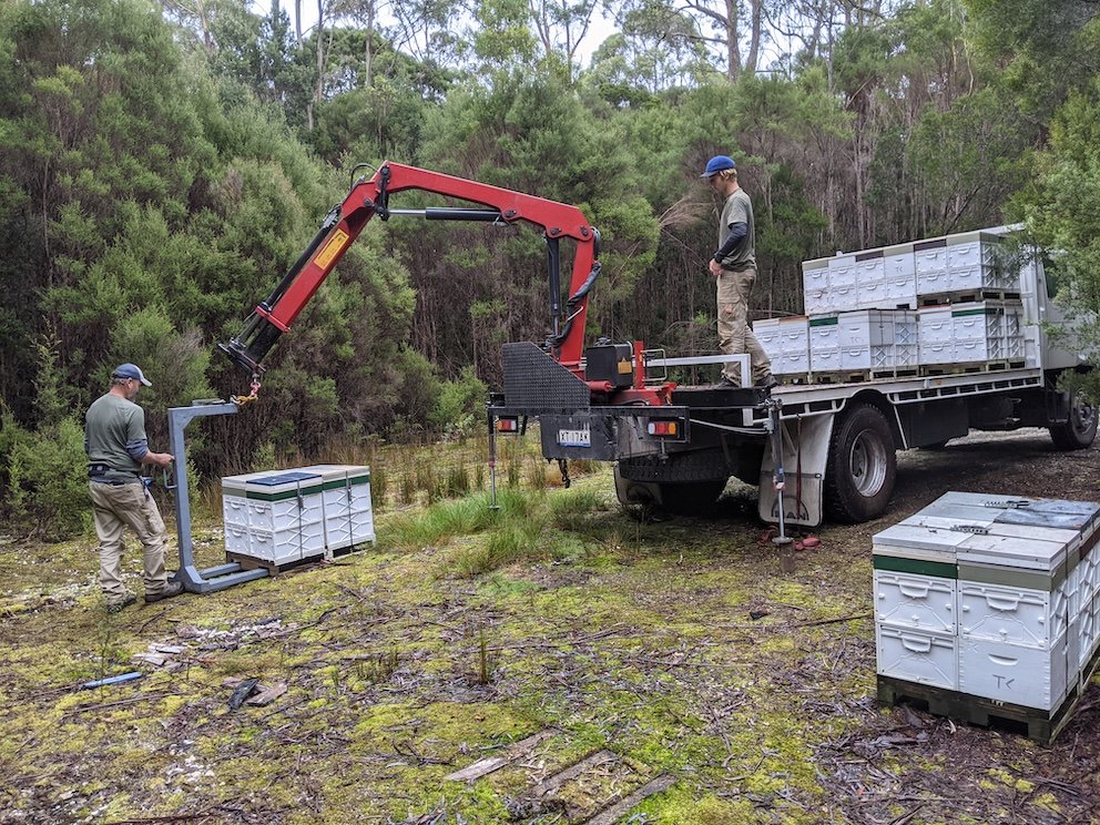 lucas-beekeeping1.jpg