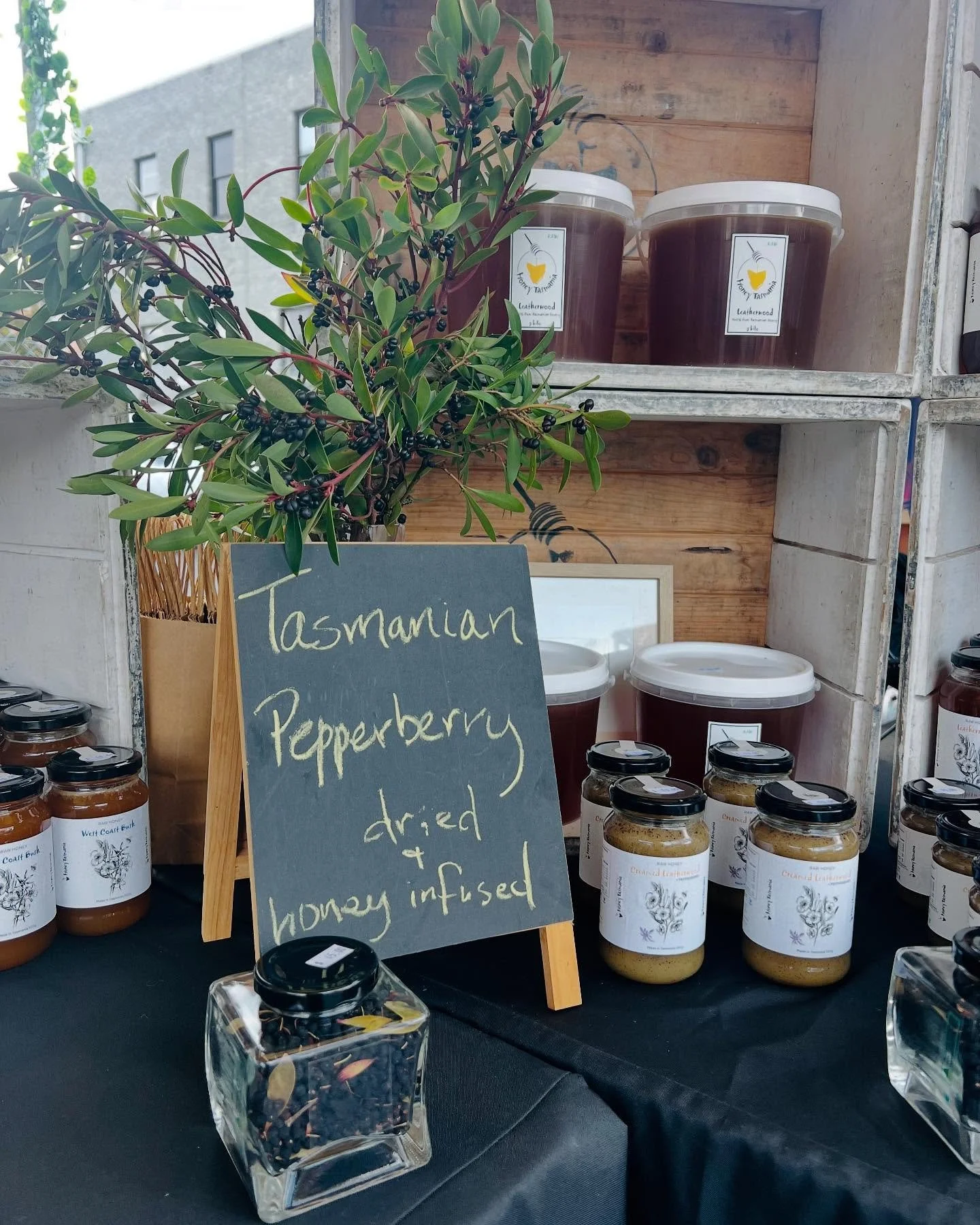 Tasmanian Pepperberry (Tasmannia lanceolata) back in our leatherwood honey, come try it - it&rsquo;s THE BOMB! 💥🐝🫐

Wild picked from ancient trees around high altitude Waratah. Great year for them after a few scarce years&hellip; Some were almost 