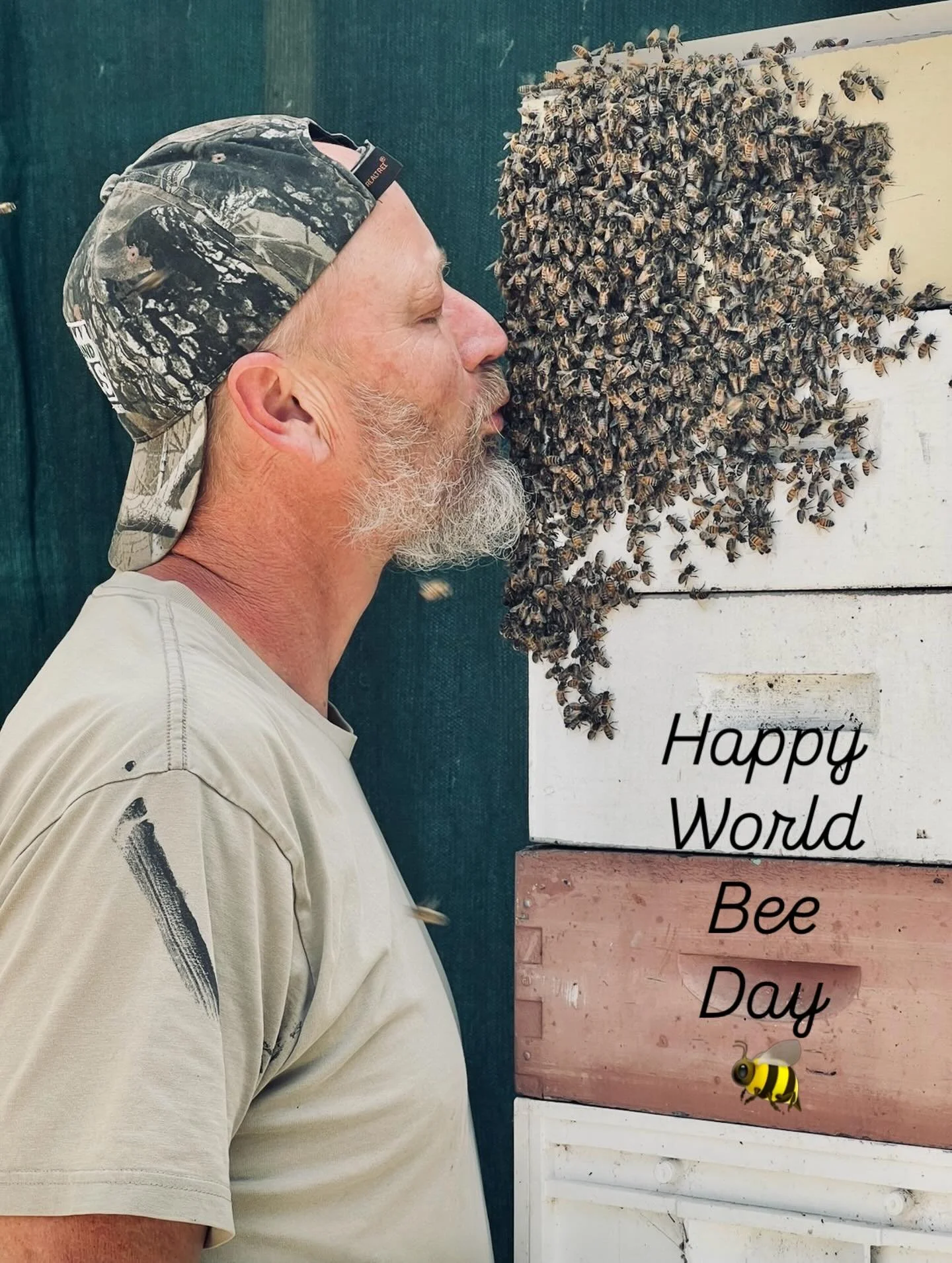 Today we celebrate World Bee Day. A day for the tiny creatures carrying an enormous responsibility. Bees are far more than honey-makers - they are pollinators, caretakers of biodiversity, and a vital thread woven through the health of our planet.
Yet