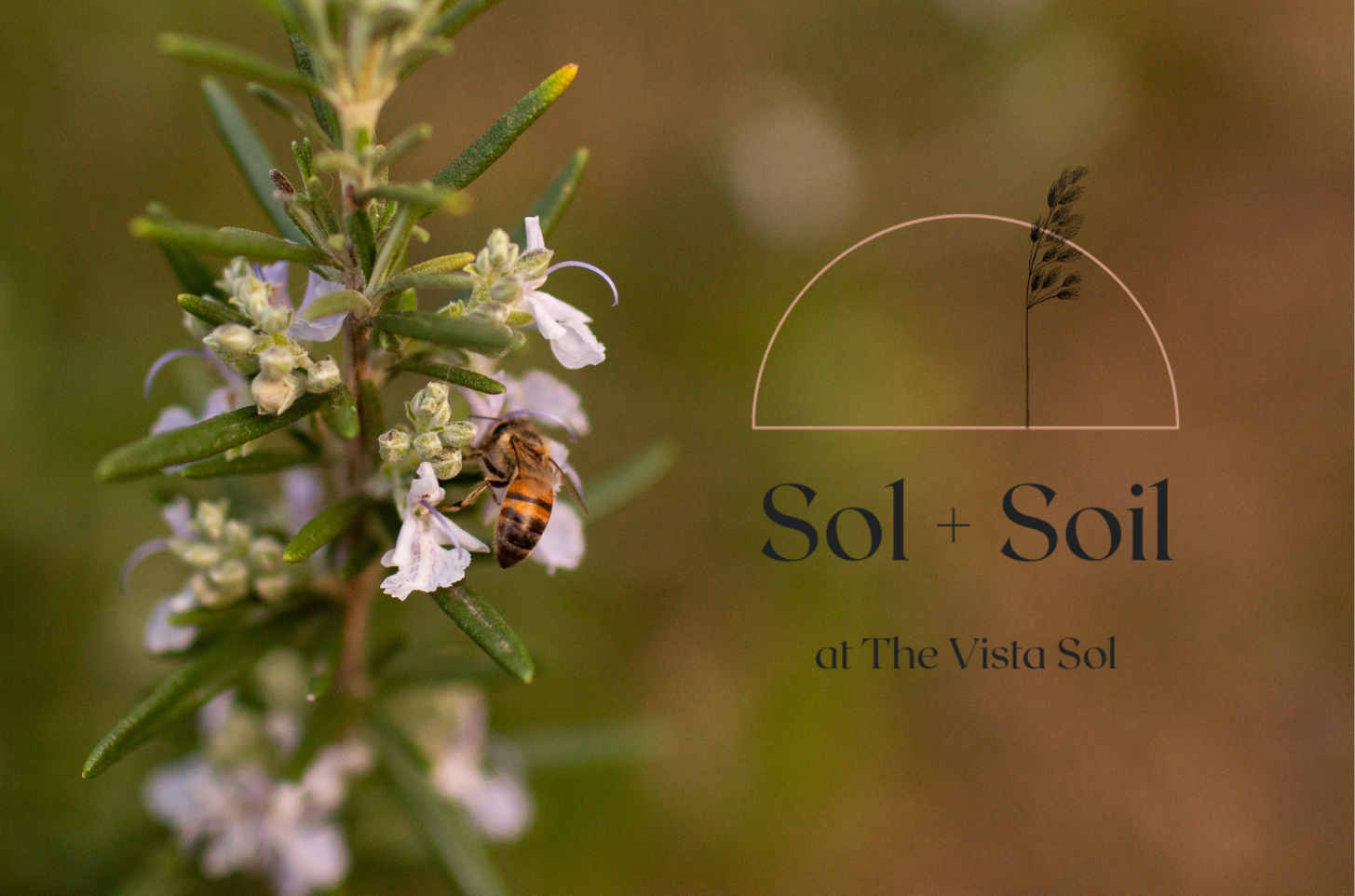 Sol + Soil (a Gardening Workshop)