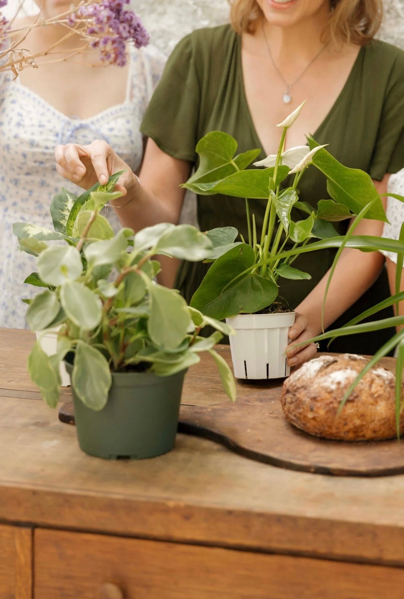Plant Bingo with Temecula Plant Company