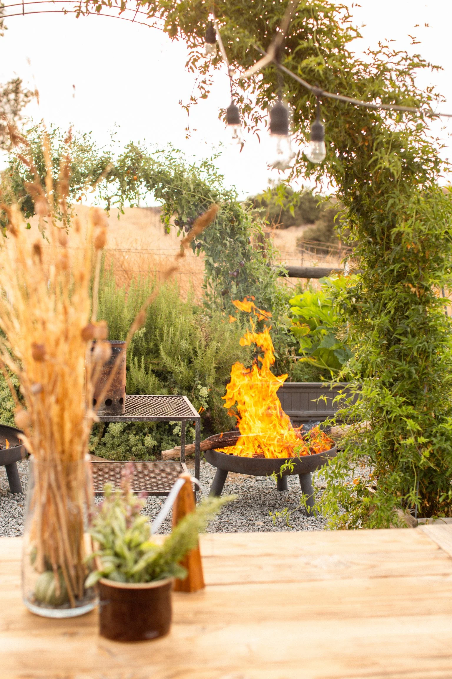 The Vista Sol Campfire Dinners-14.jpg