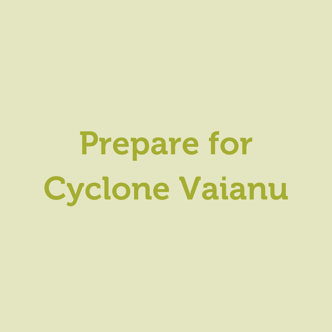 Cyclone Vaianu information