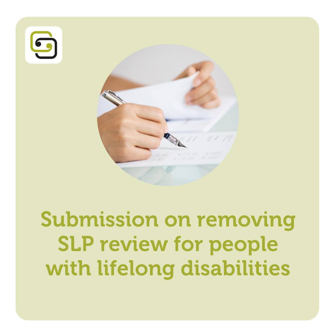 Supported Living Payment review: our submission to Parliament