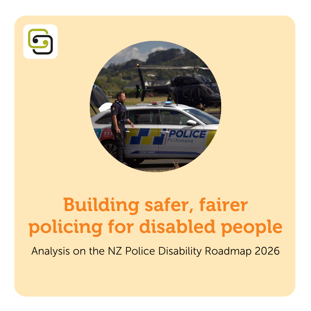 Building safer, fairer policing for disabled people: analysis on the NZ Police Disability Roadmap 2026