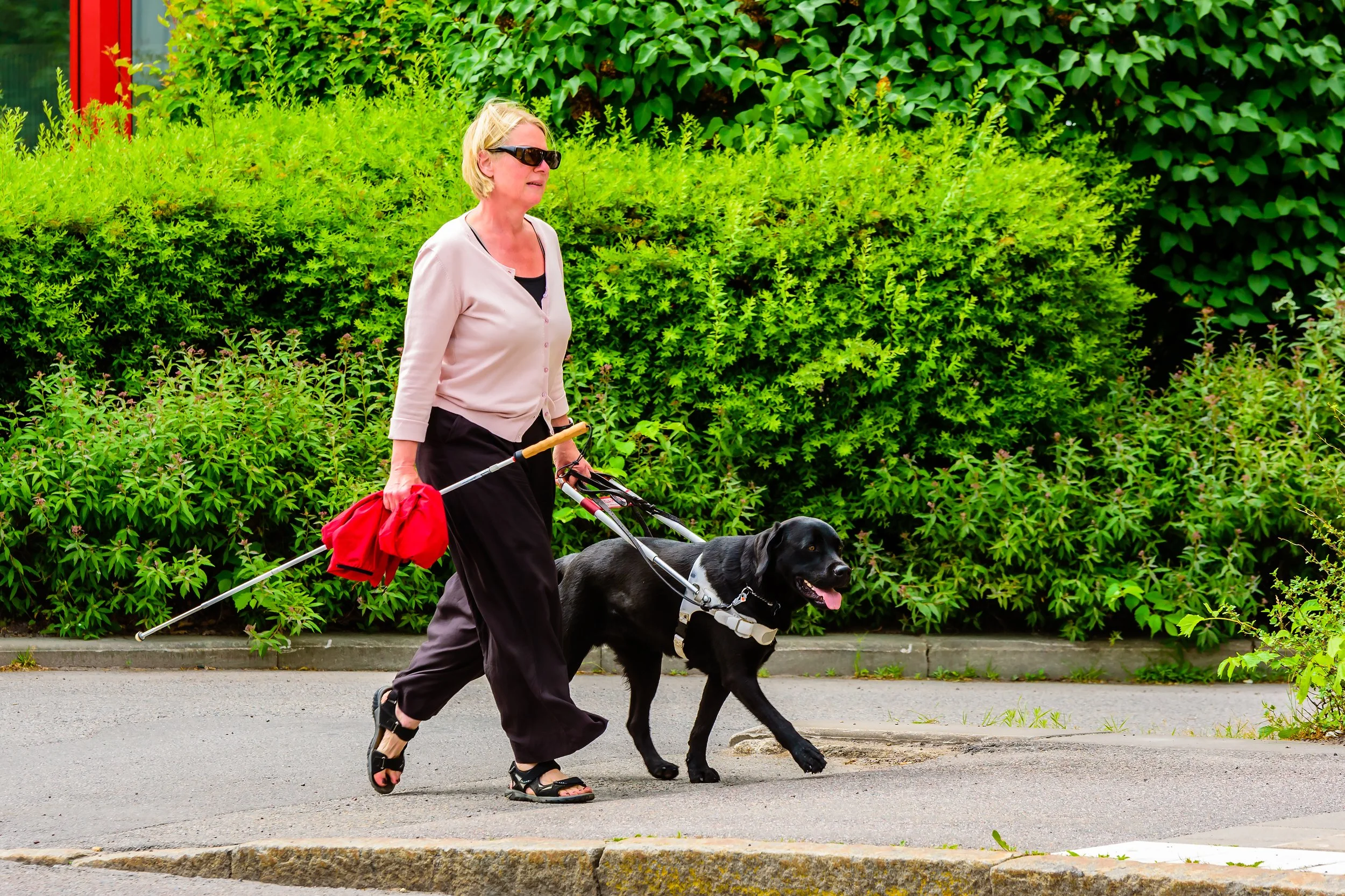 One in 12 disabled adults miss a GP visit over transport