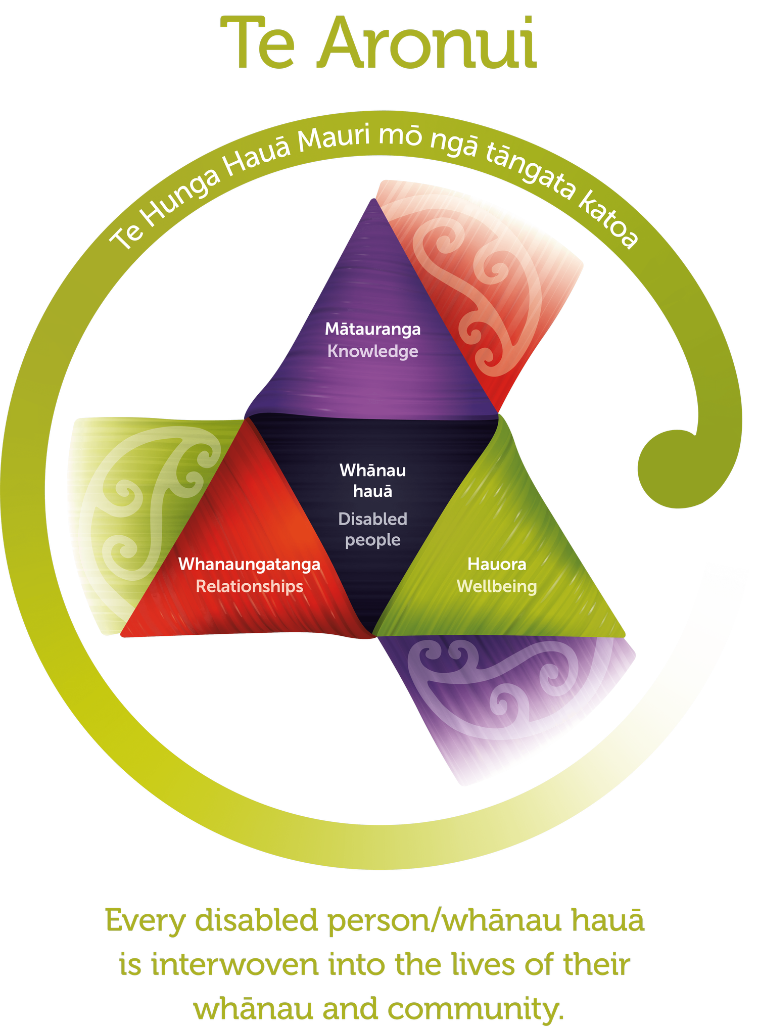 Te Aronui Rua Strategic priorities vision and values — CCS Disability Action