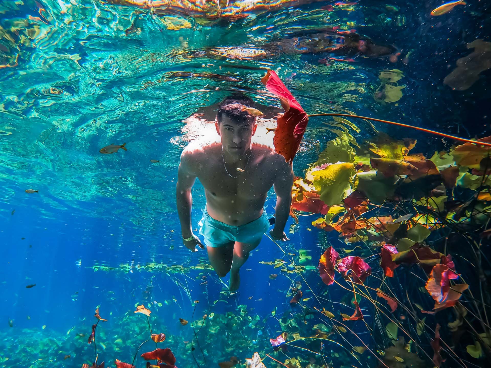 04_CENOTE_UNDER.jpeg