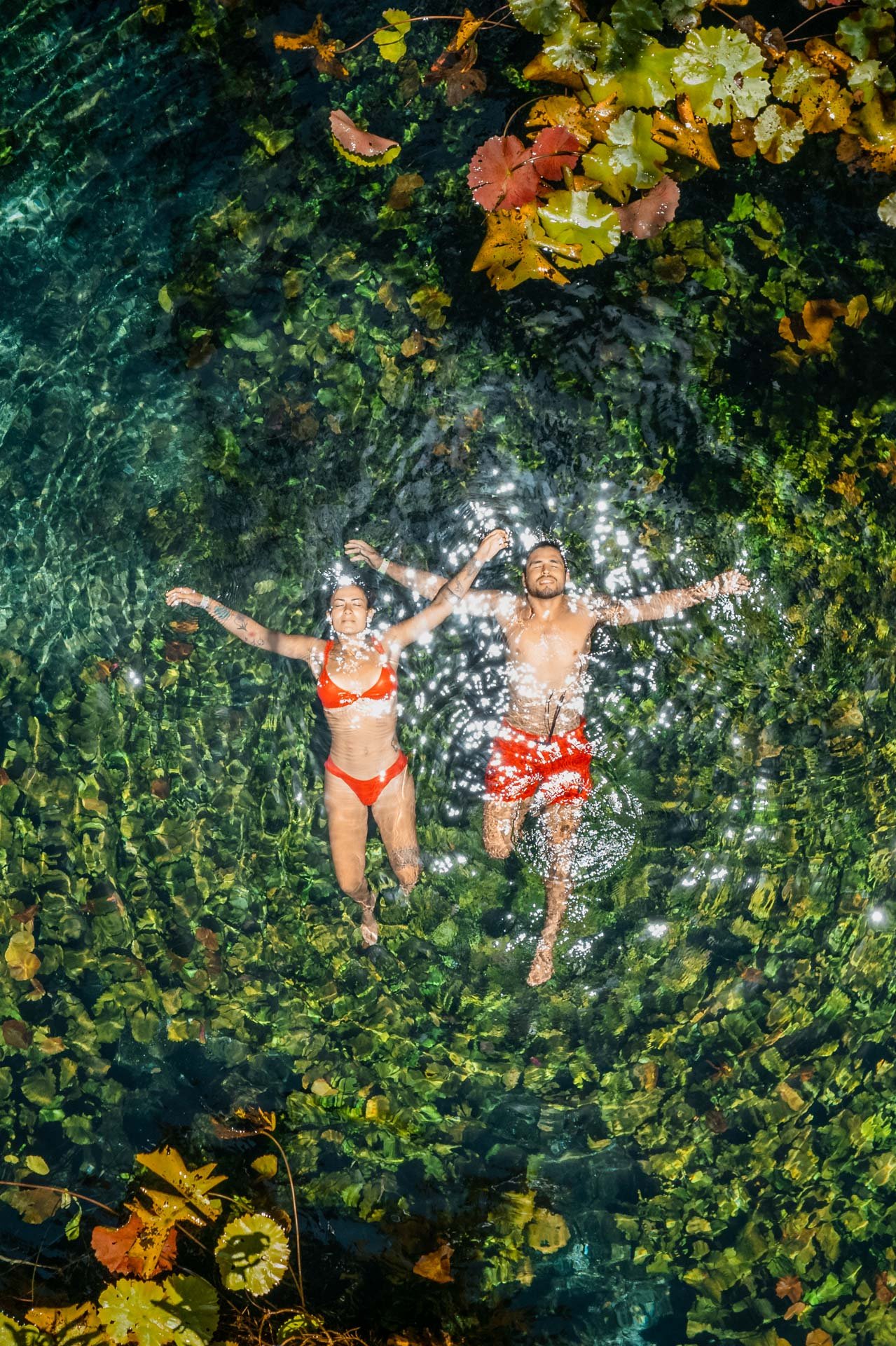01_CENOTE_DRONE.jpeg